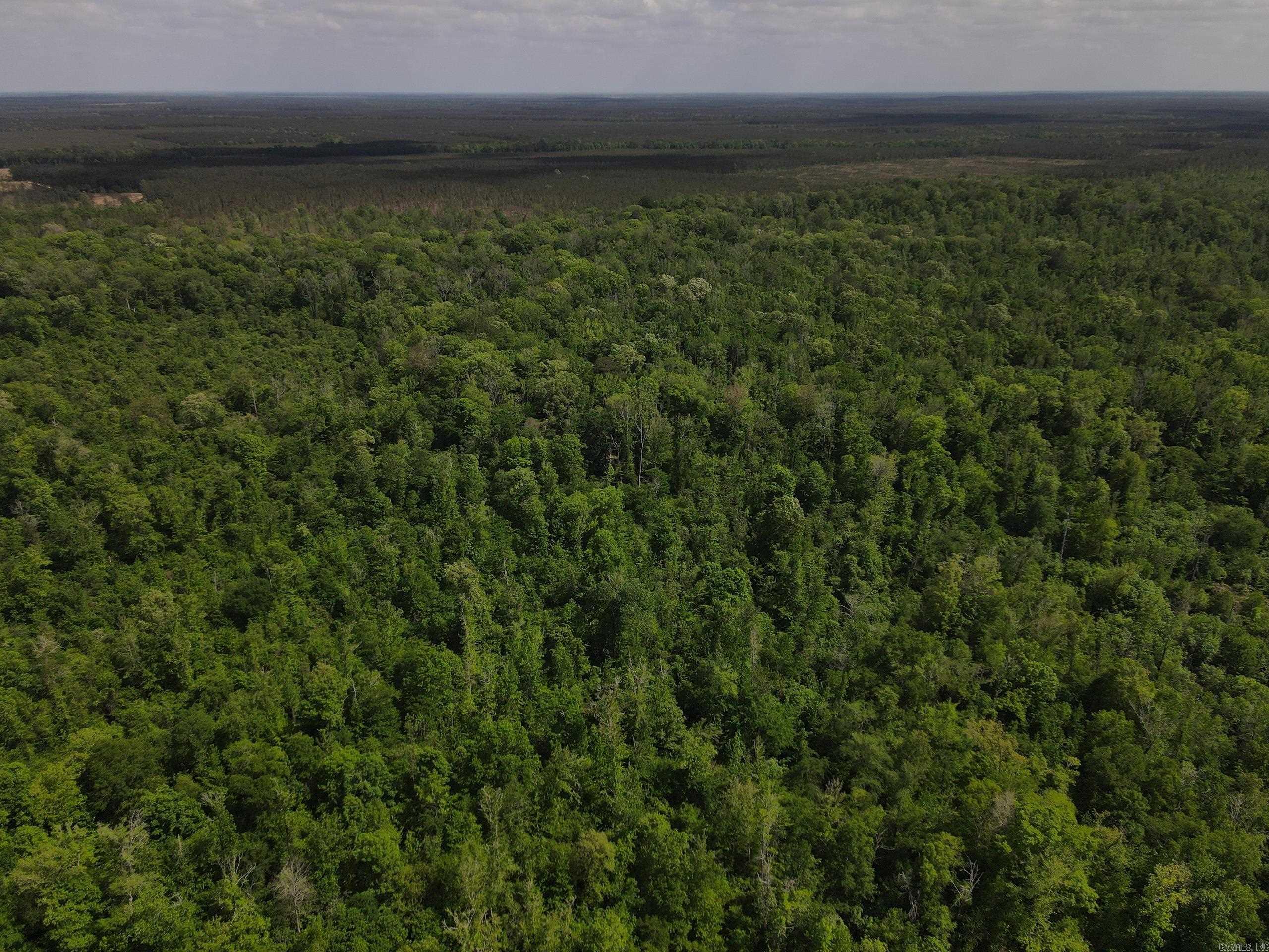 001 County Road 311  Hamburg, AR