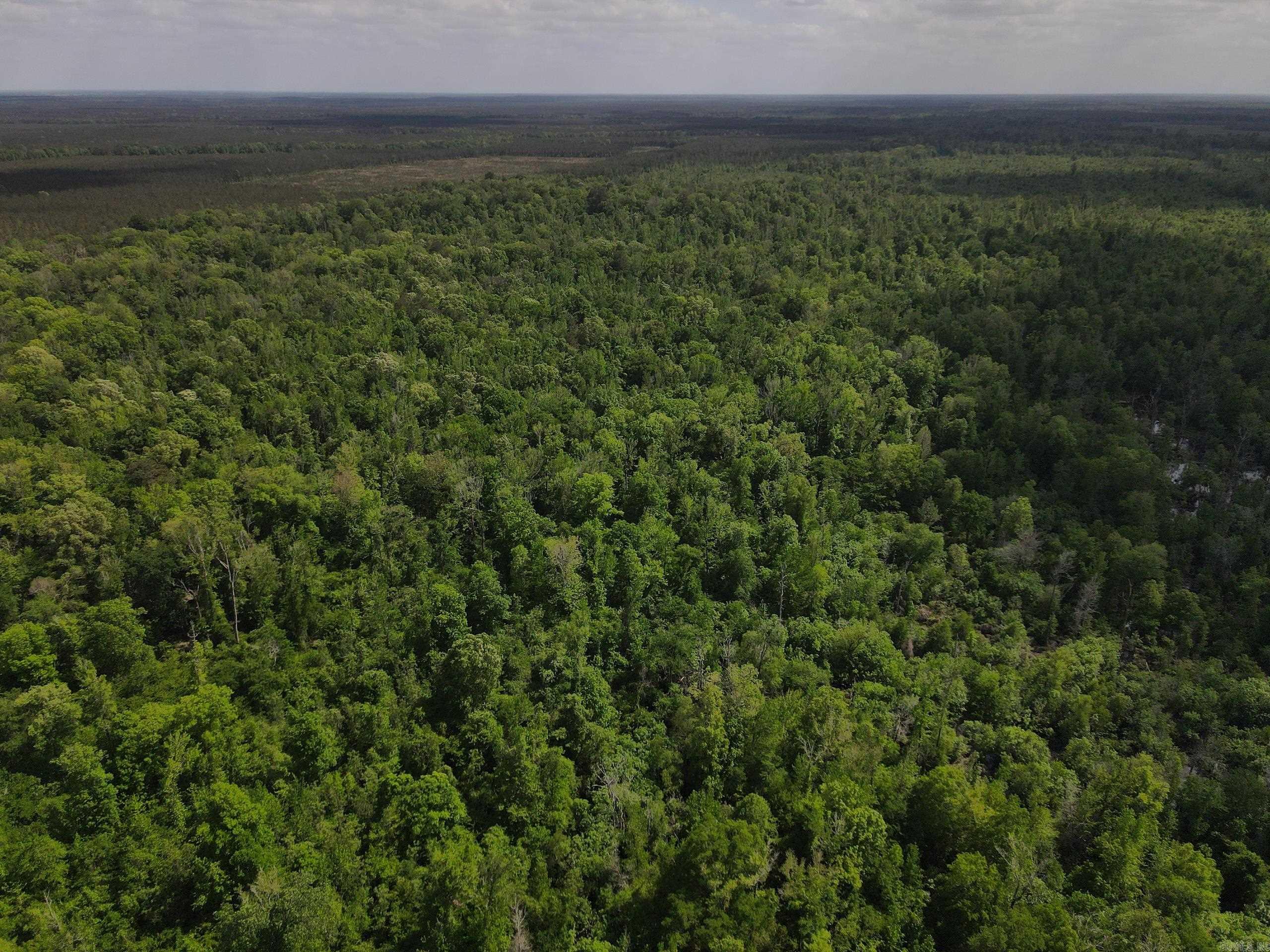 001 County Road 311  Hamburg, AR