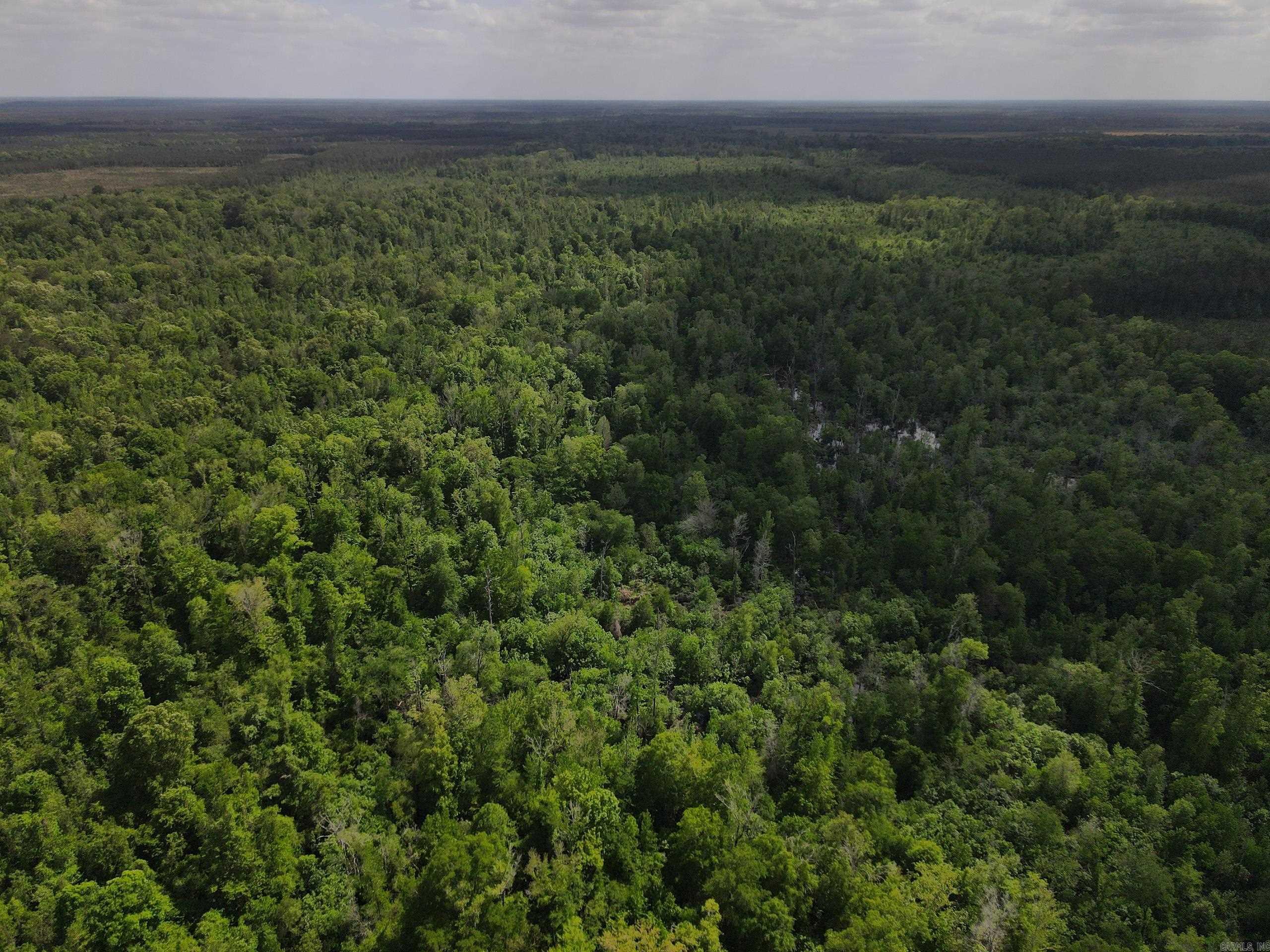 001 County Road 311  Hamburg, AR