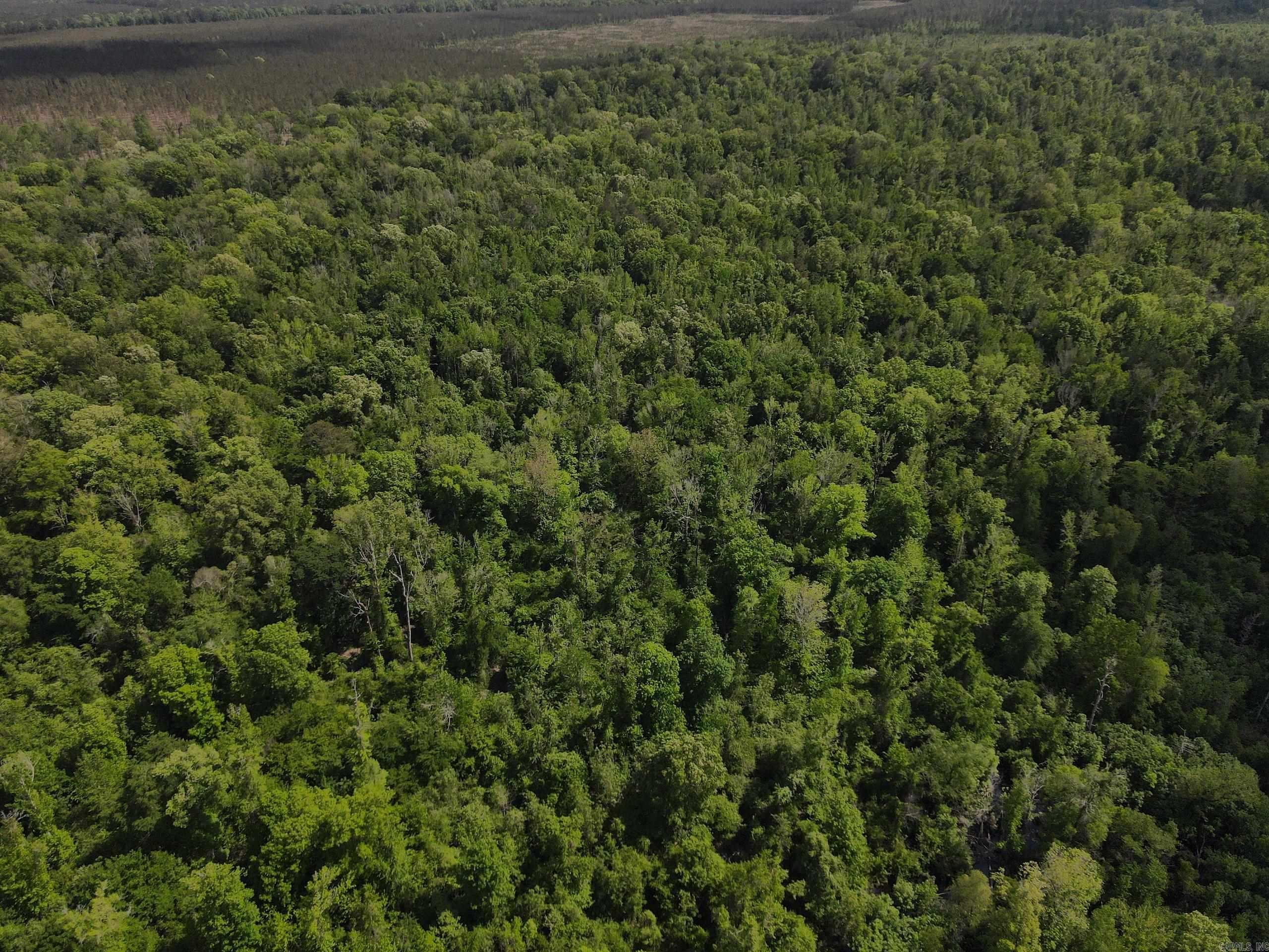 001 County Road 311  Hamburg, AR