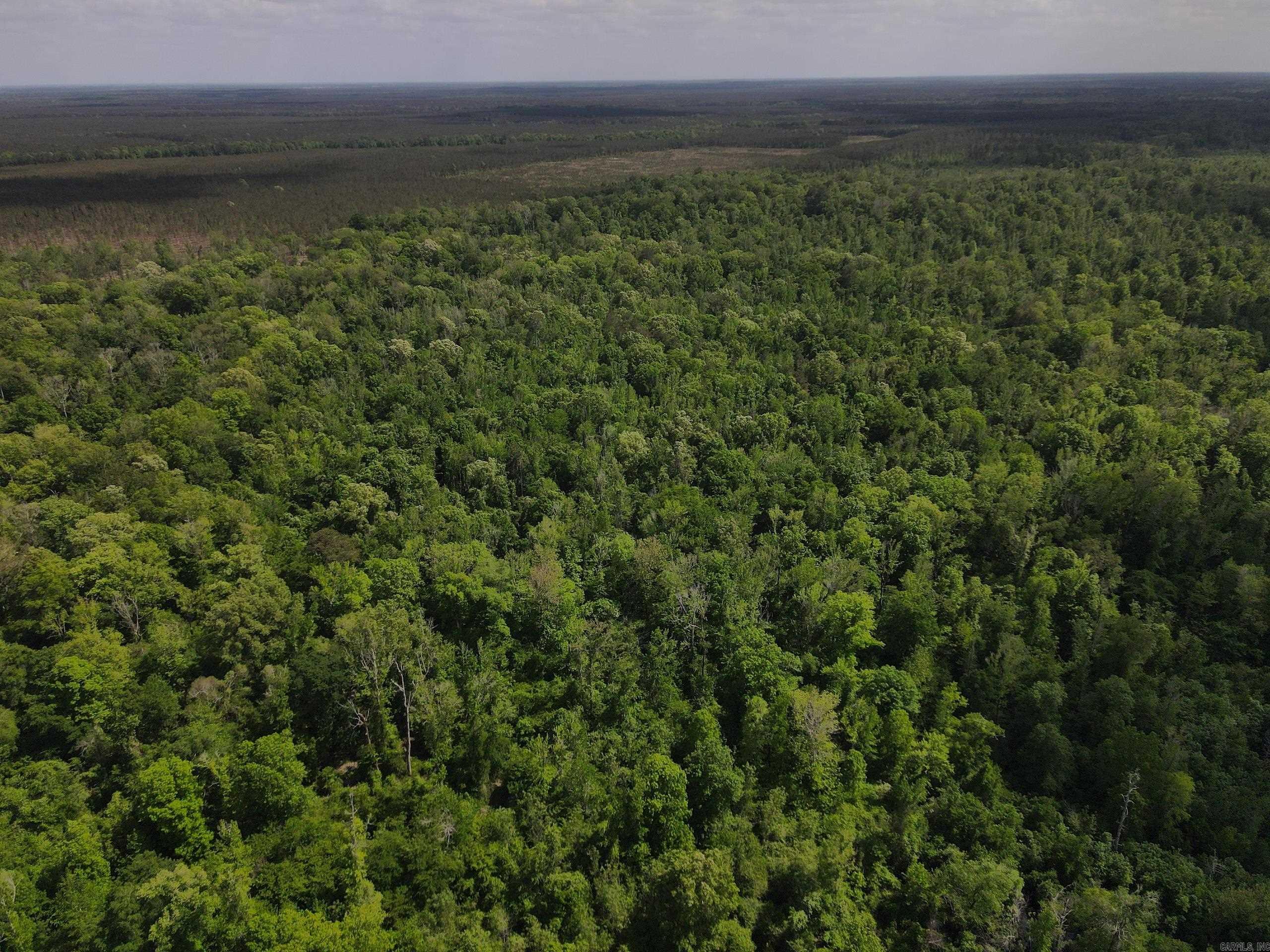 001 County Road 311  Hamburg, AR