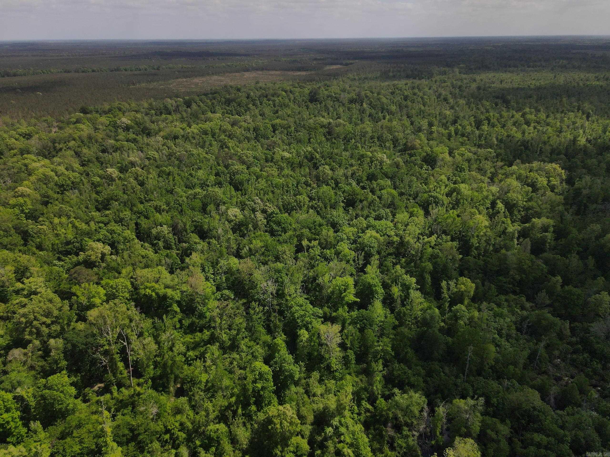 001 County Road 311  Hamburg, AR