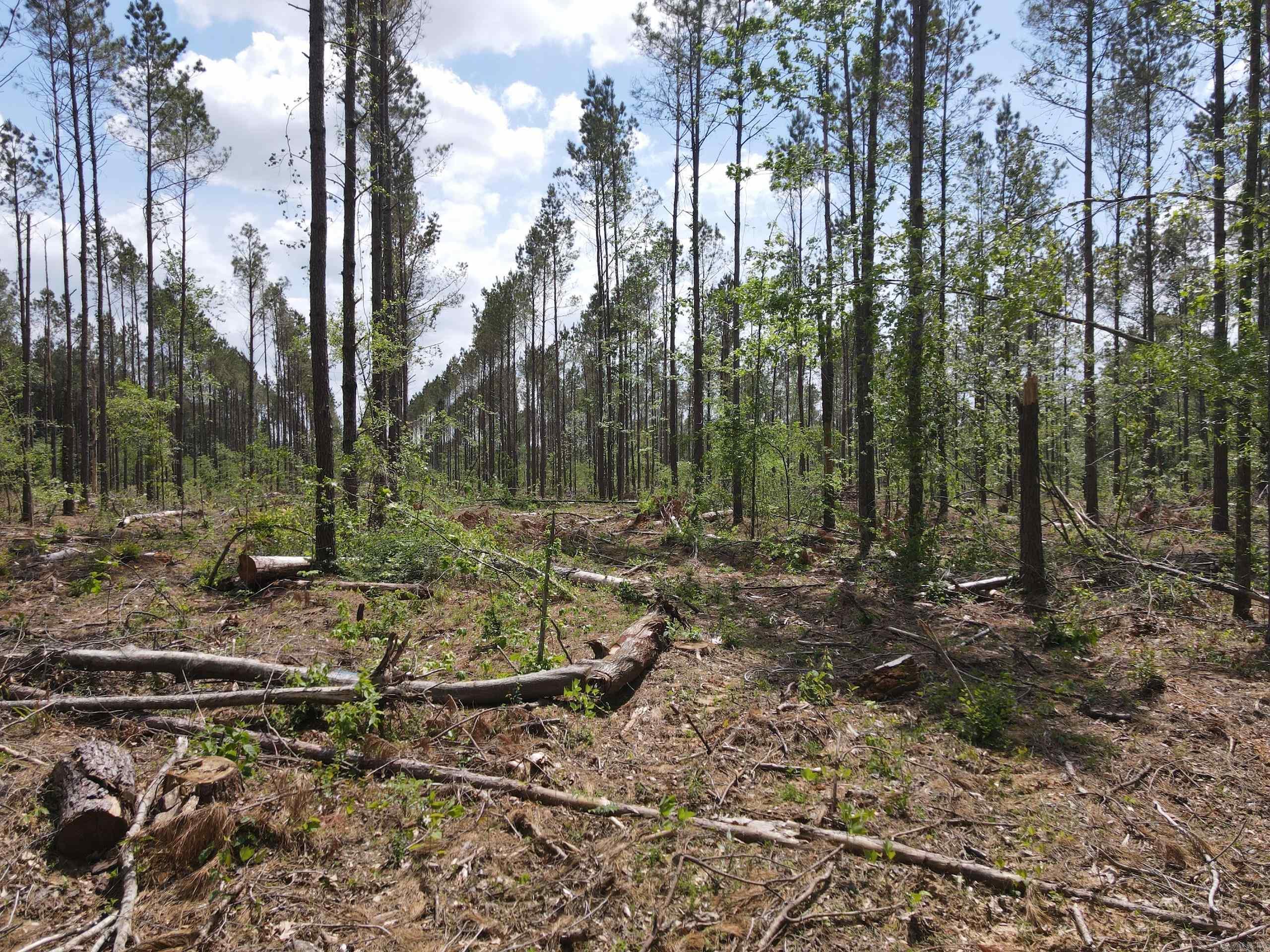 002 County Road 29  Hamburg, AR