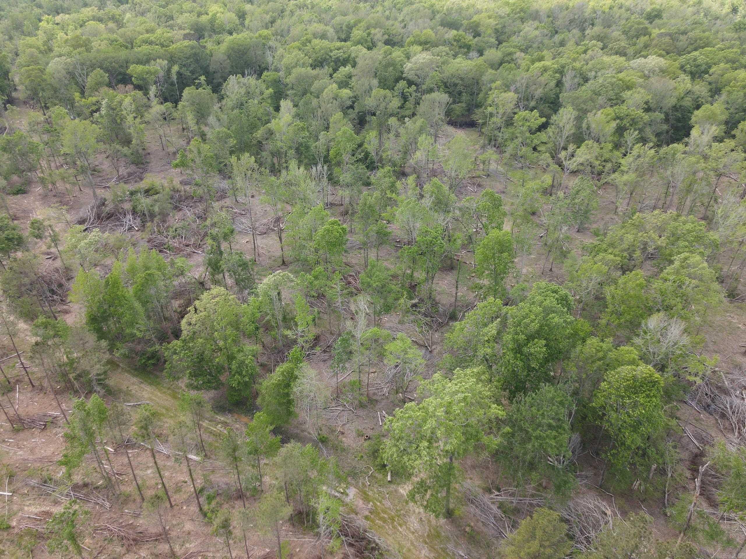 002 County Road 29  Hamburg, AR