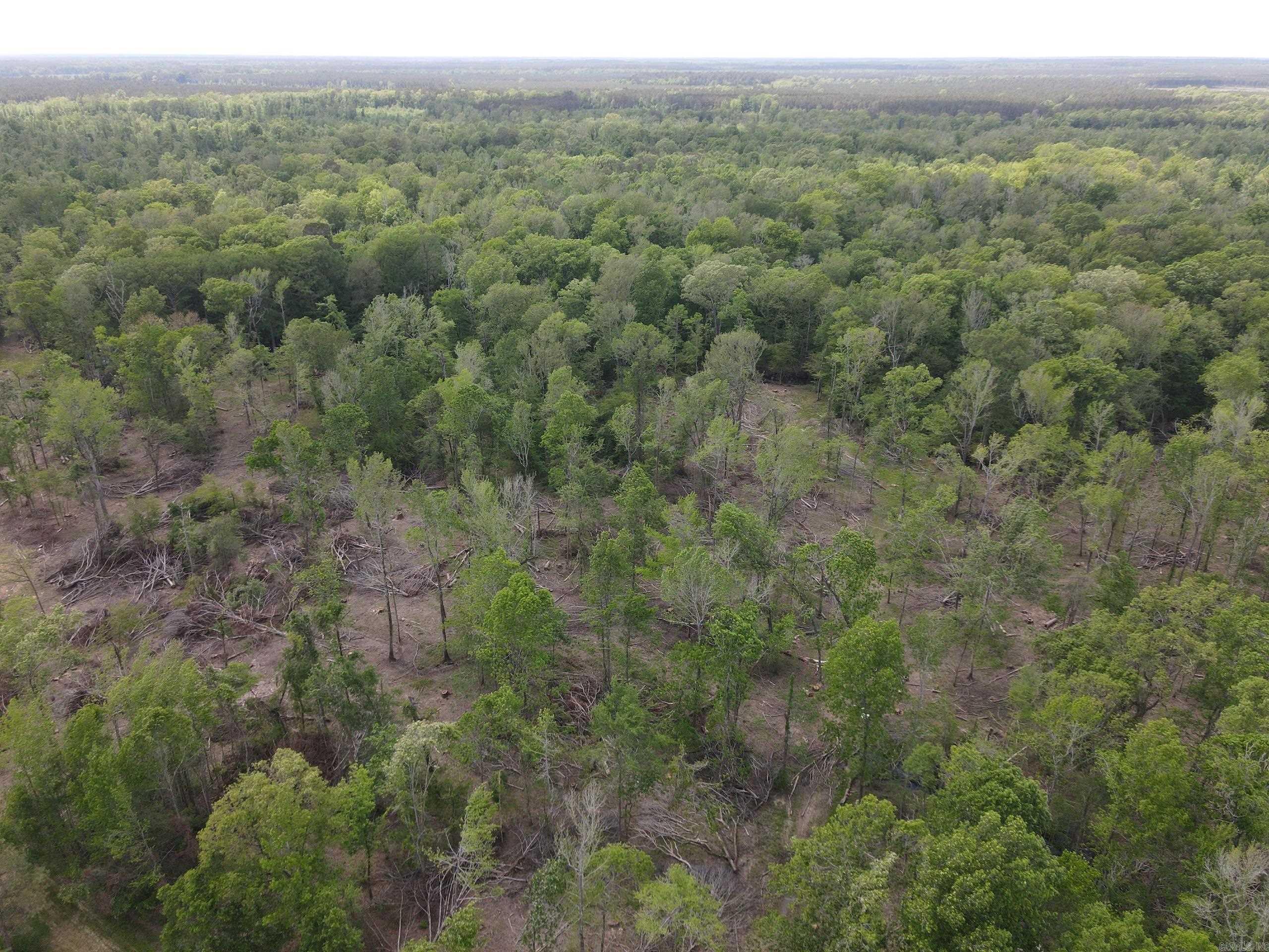 002 County Road 29  Hamburg, AR