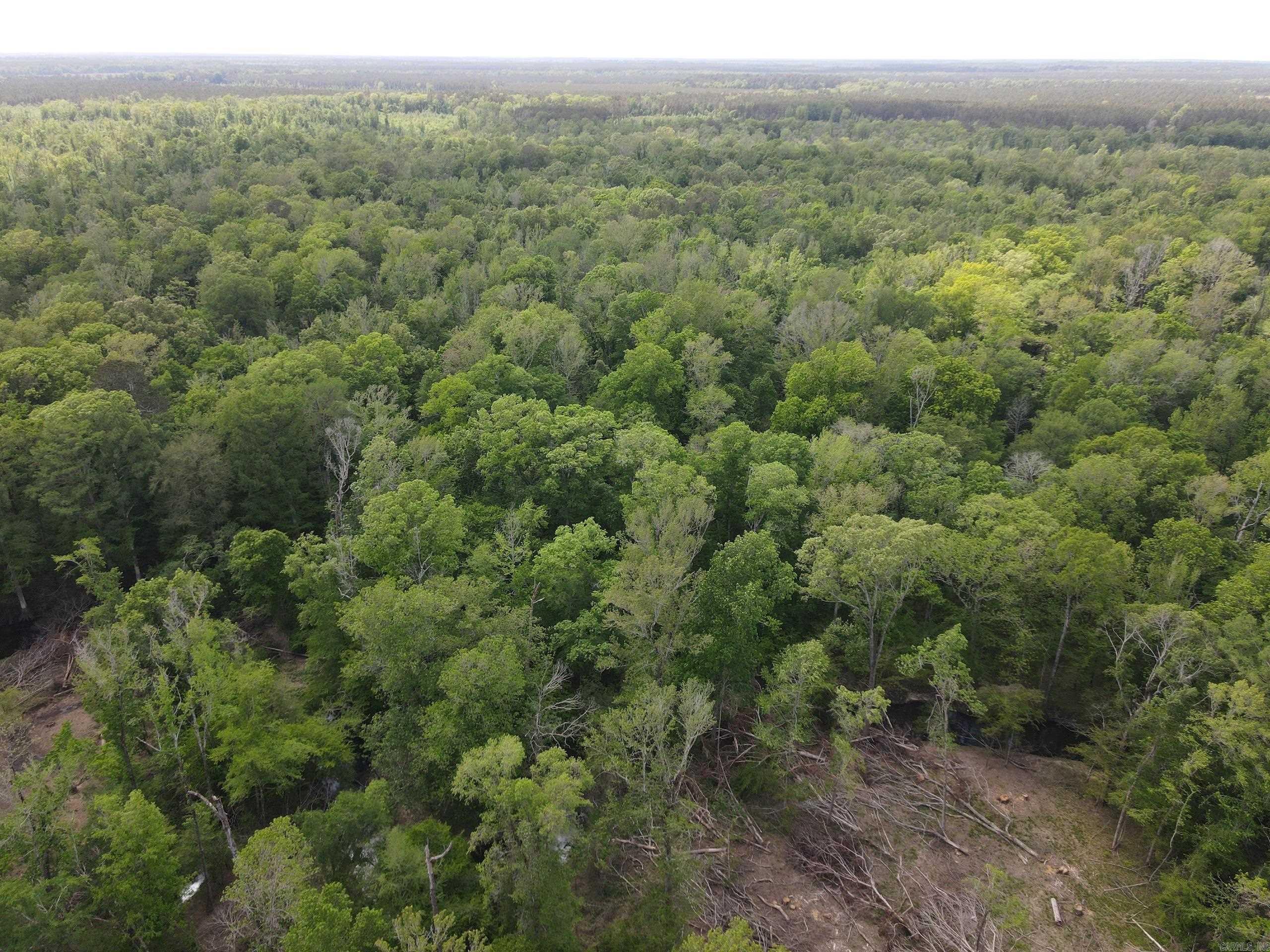 002 County Road 29  Hamburg, AR