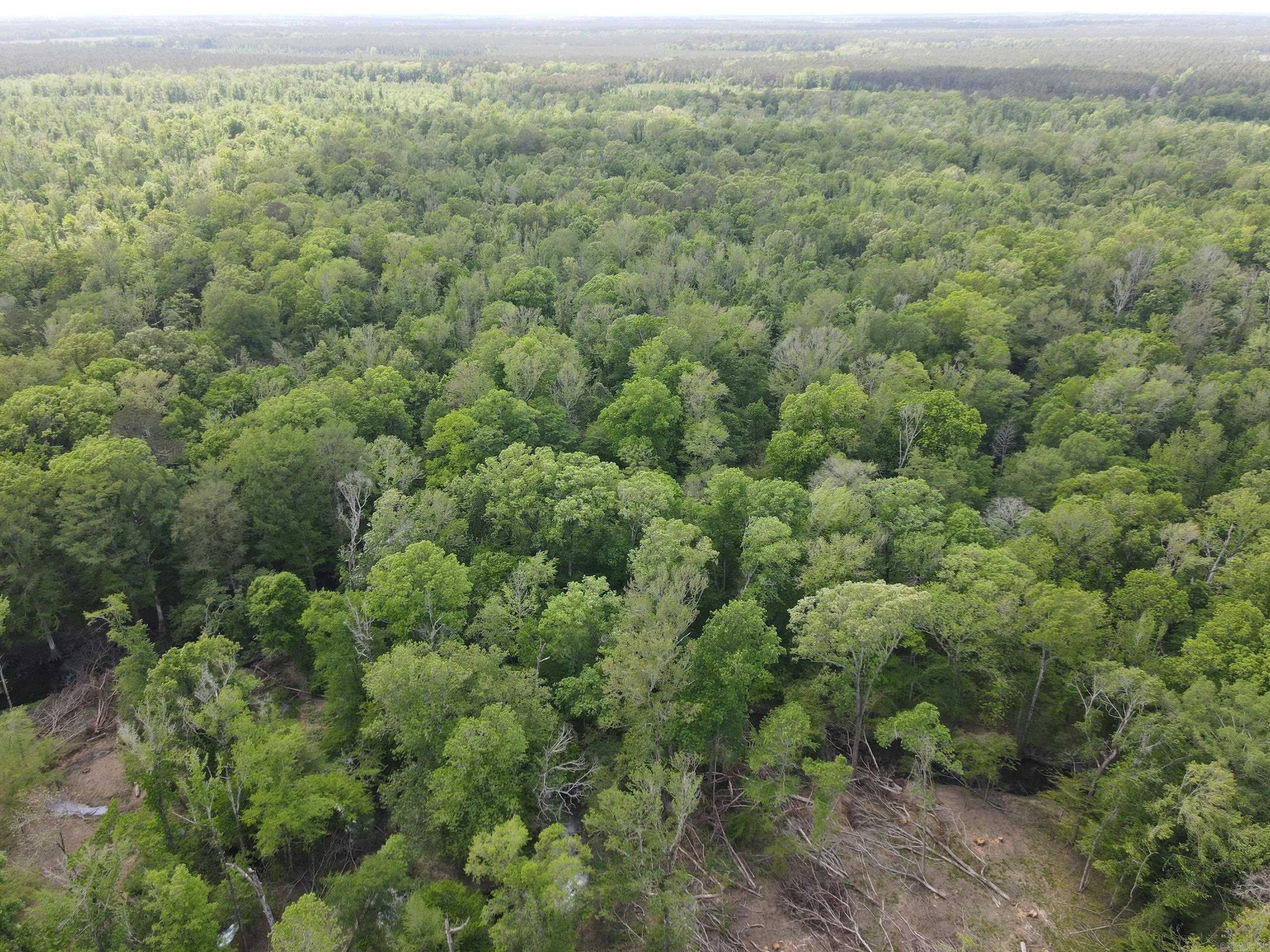 002 County Road 29  Hamburg, AR