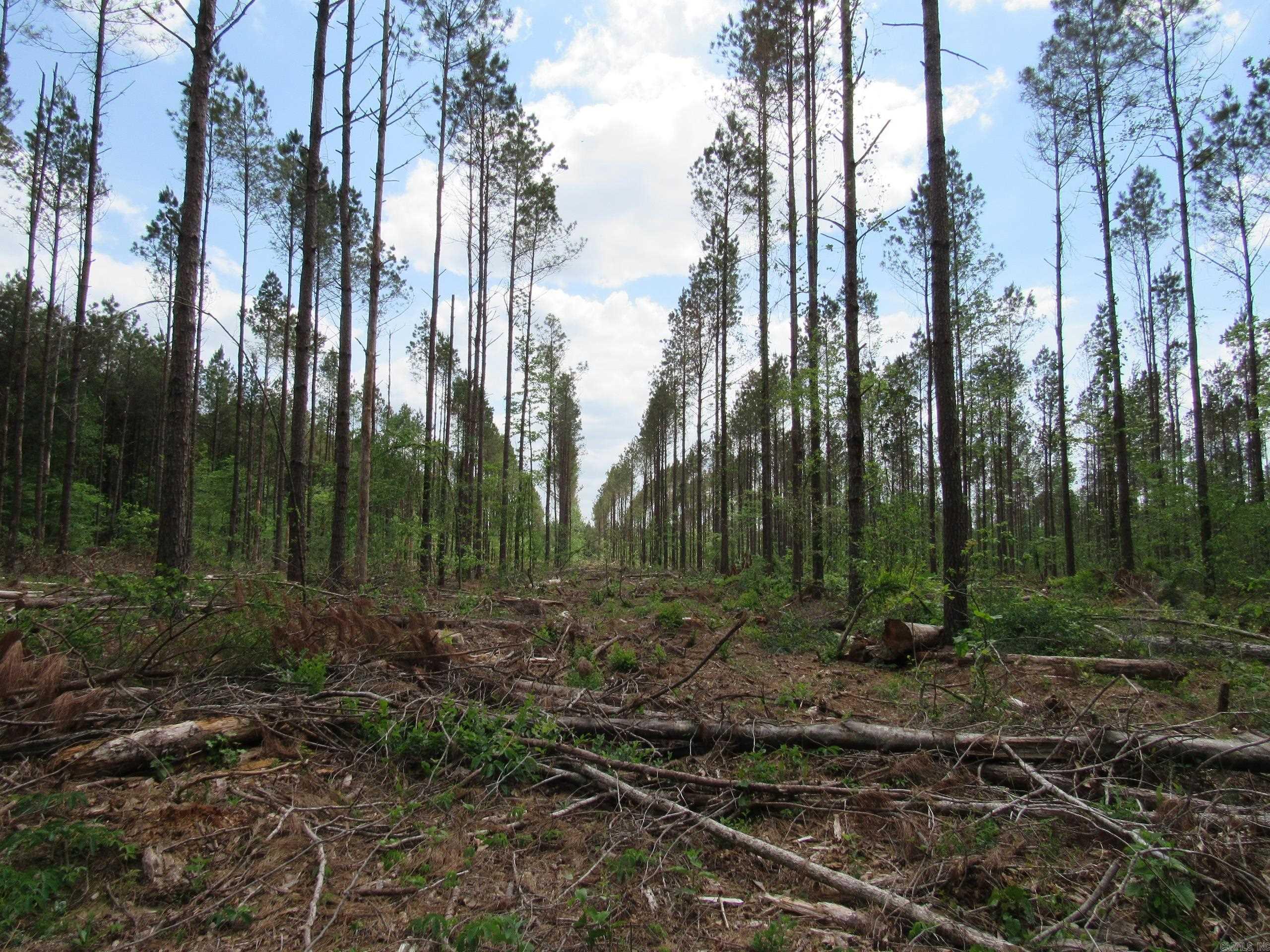 002 County Road 29  Hamburg, AR