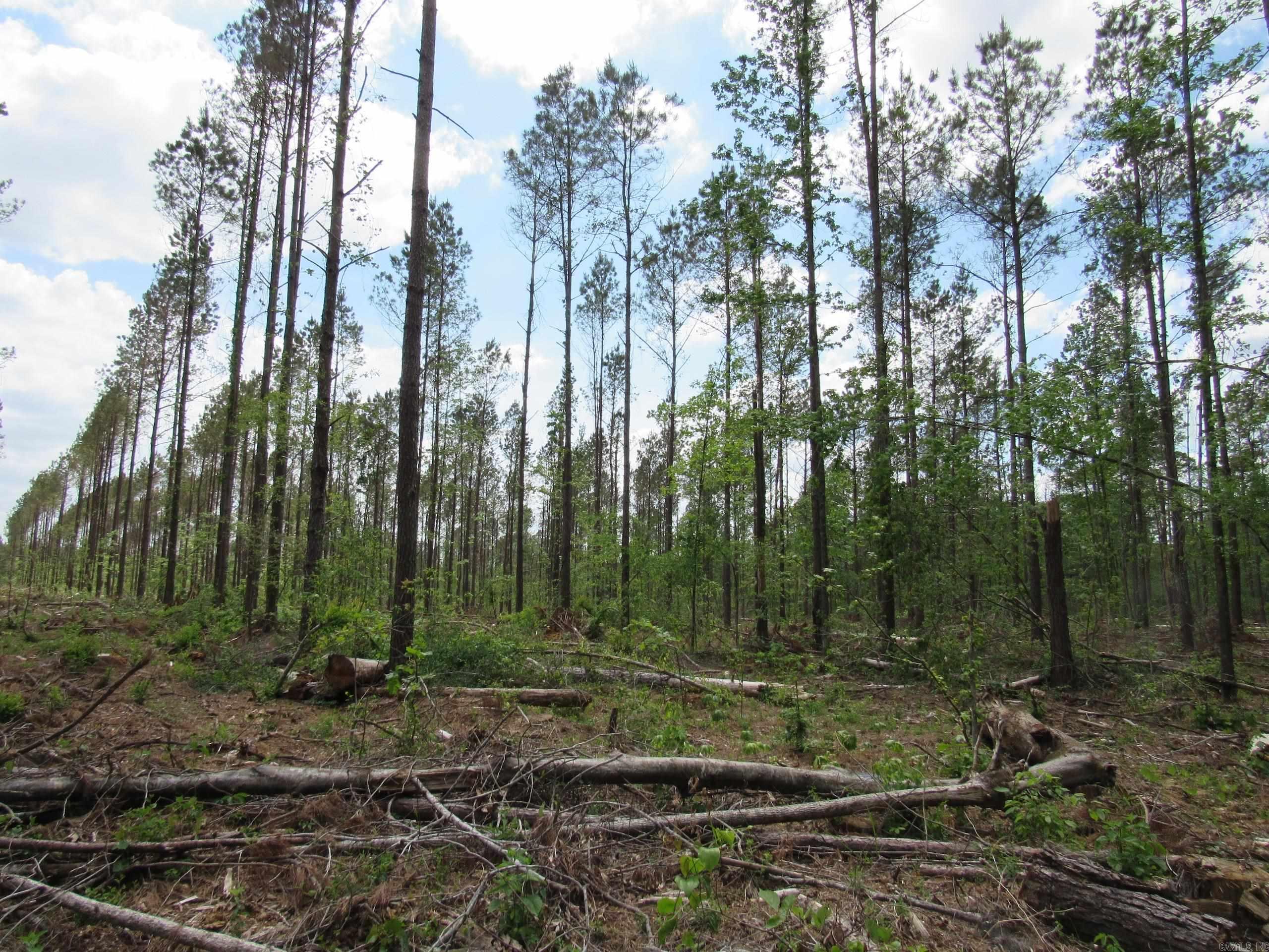 002 County Road 29  Hamburg, AR