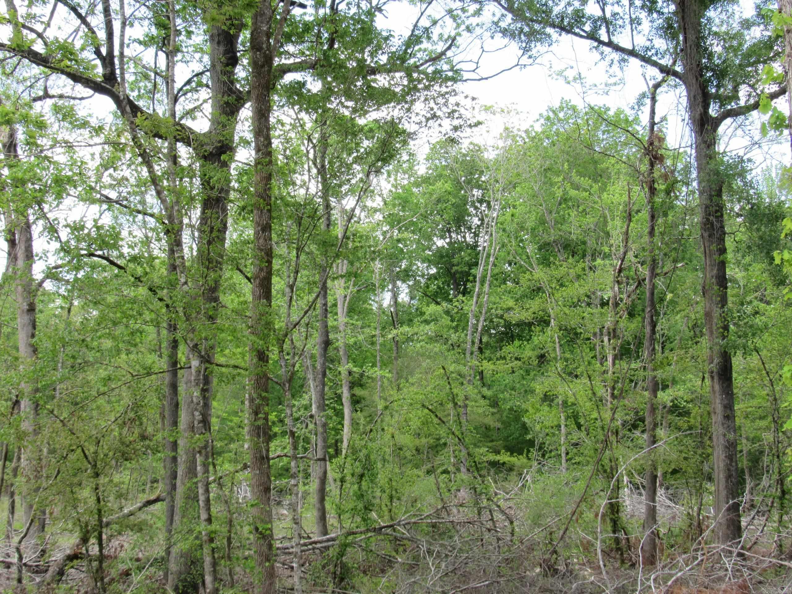 002 County Road 29  Hamburg, AR