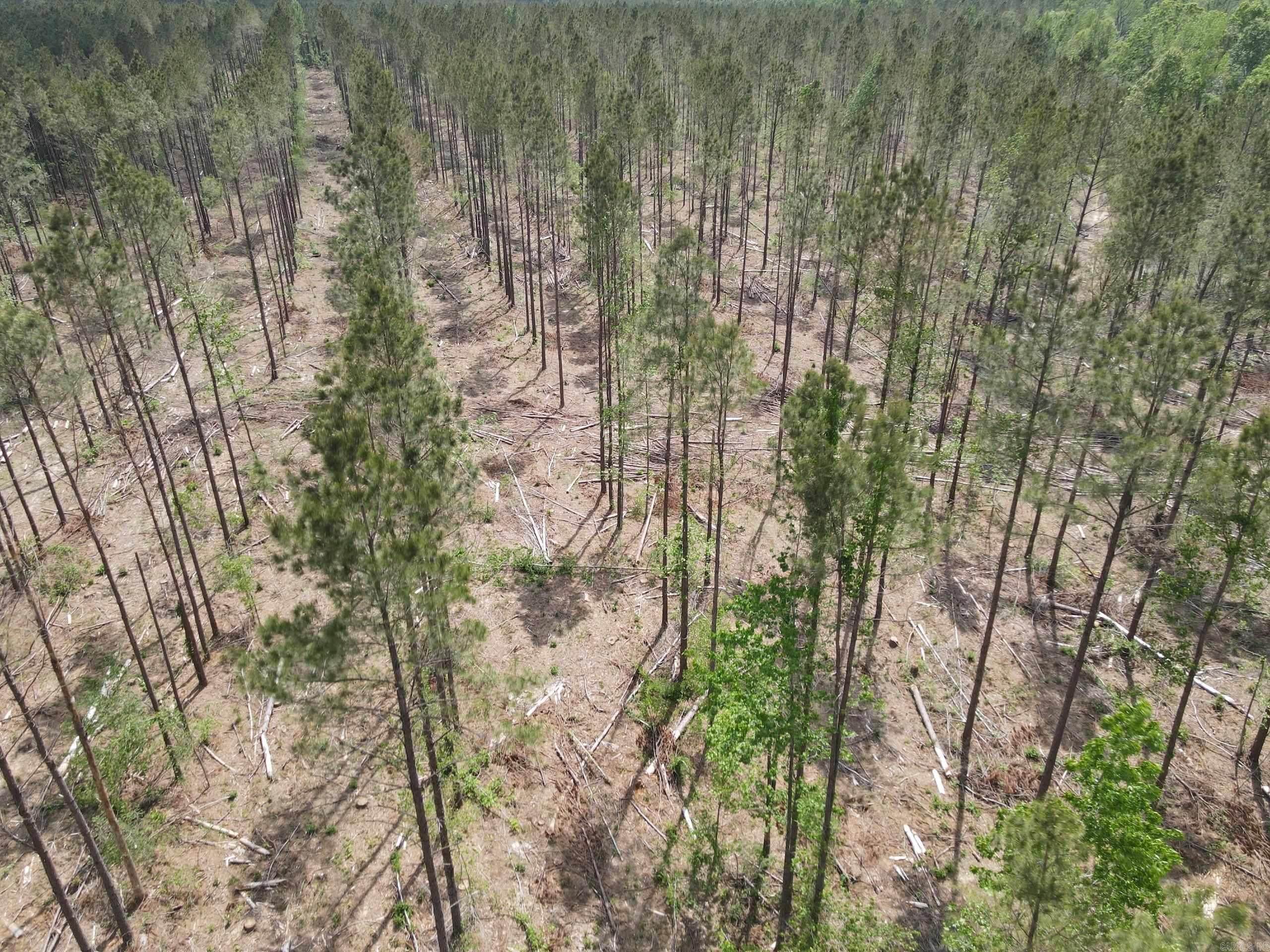 002 County Road 29  Hamburg, AR