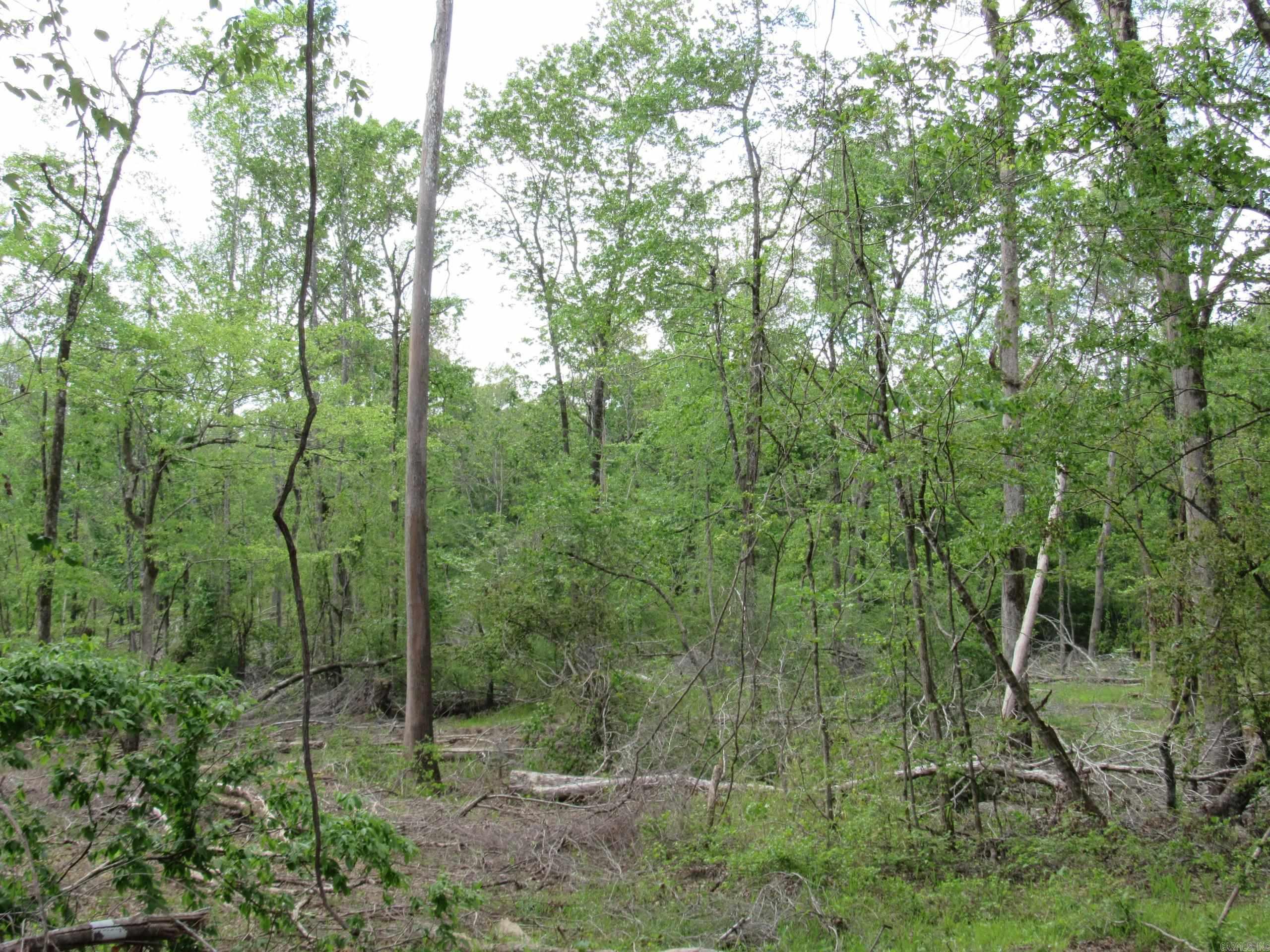 002 County Road 29  Hamburg, AR