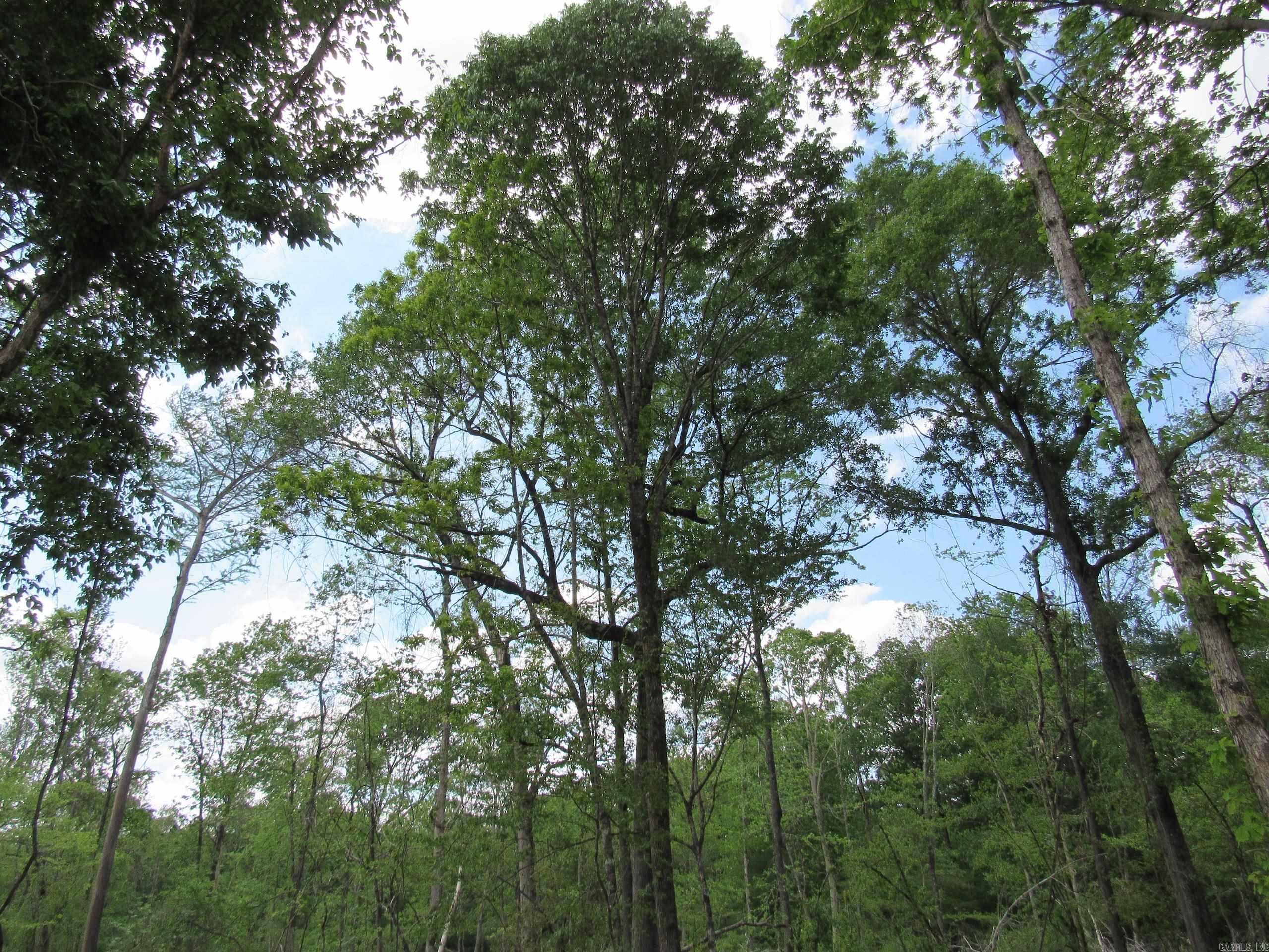 002 County Road 29  Hamburg, AR