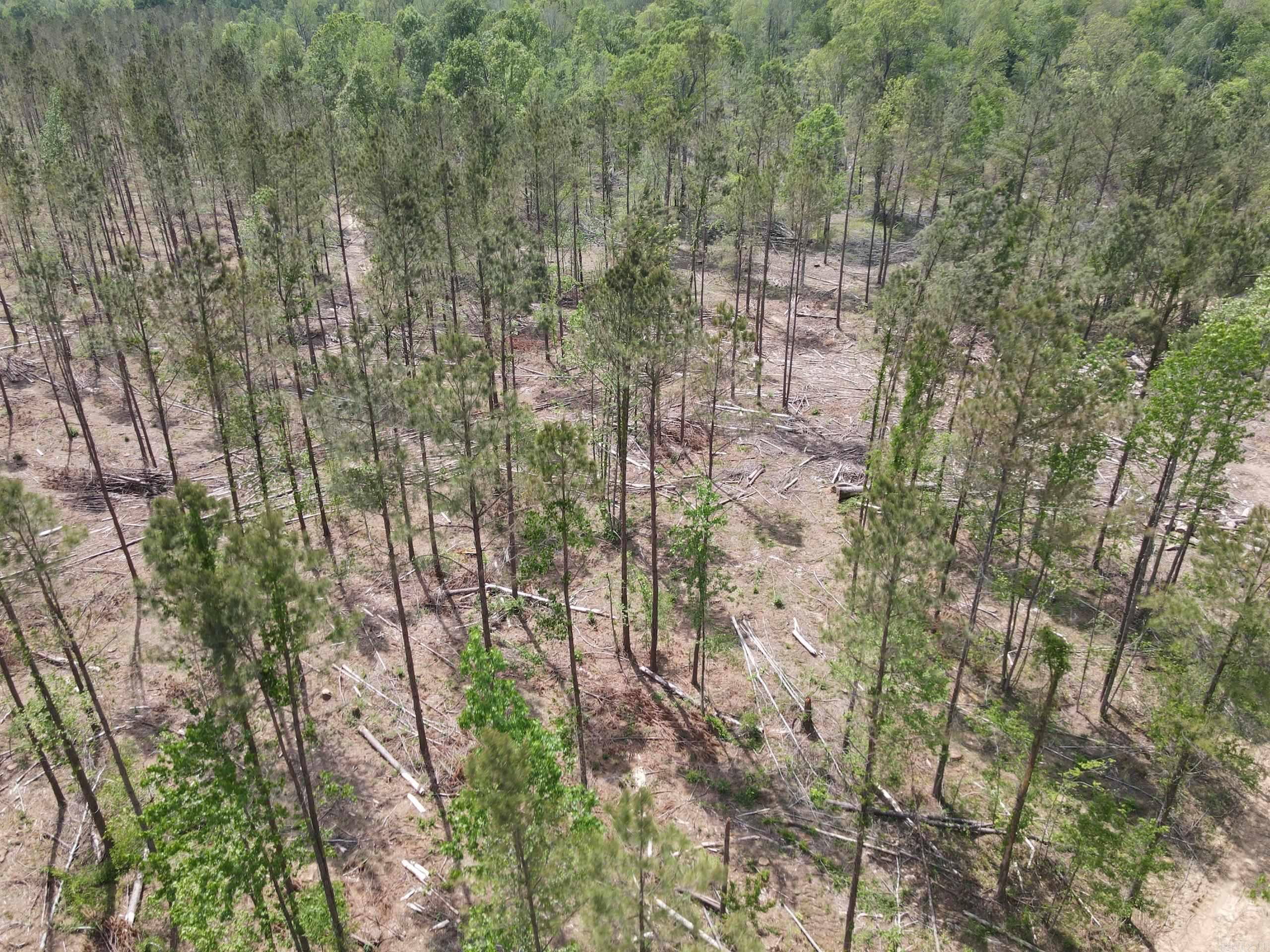 002 County Road 29  Hamburg, AR