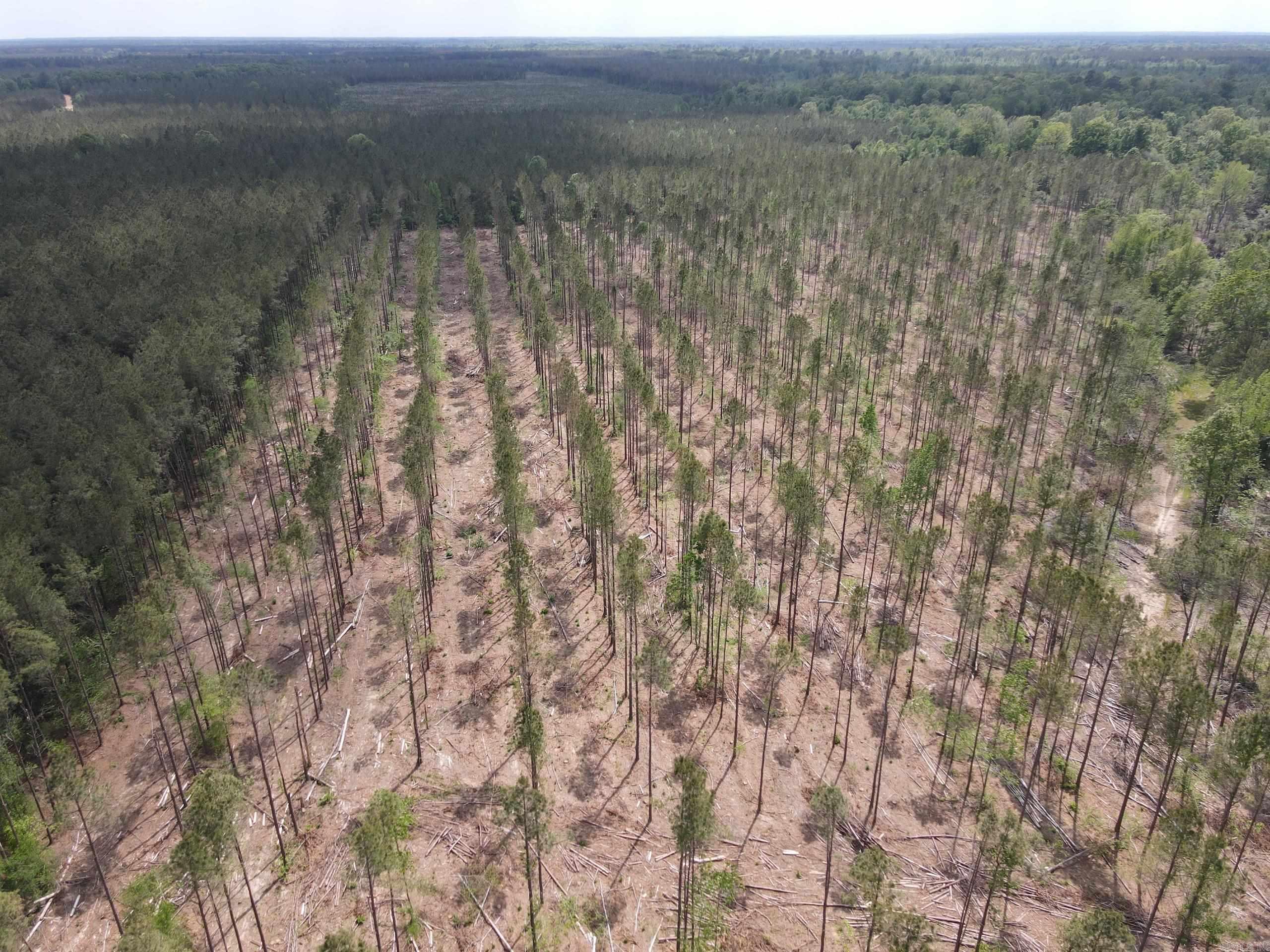 002 County Road 29  Hamburg, AR