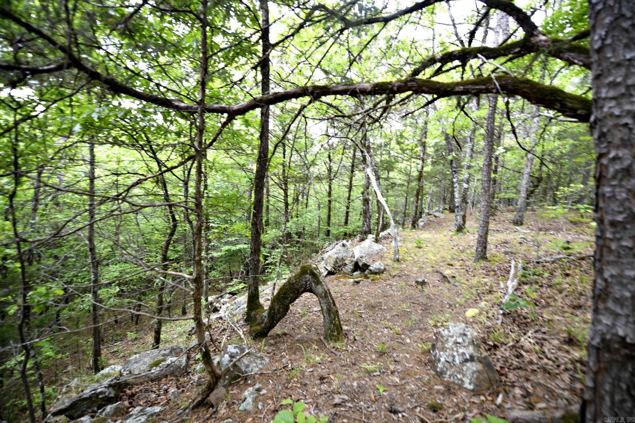 14369 Blackfork Drive  Heavener, OK