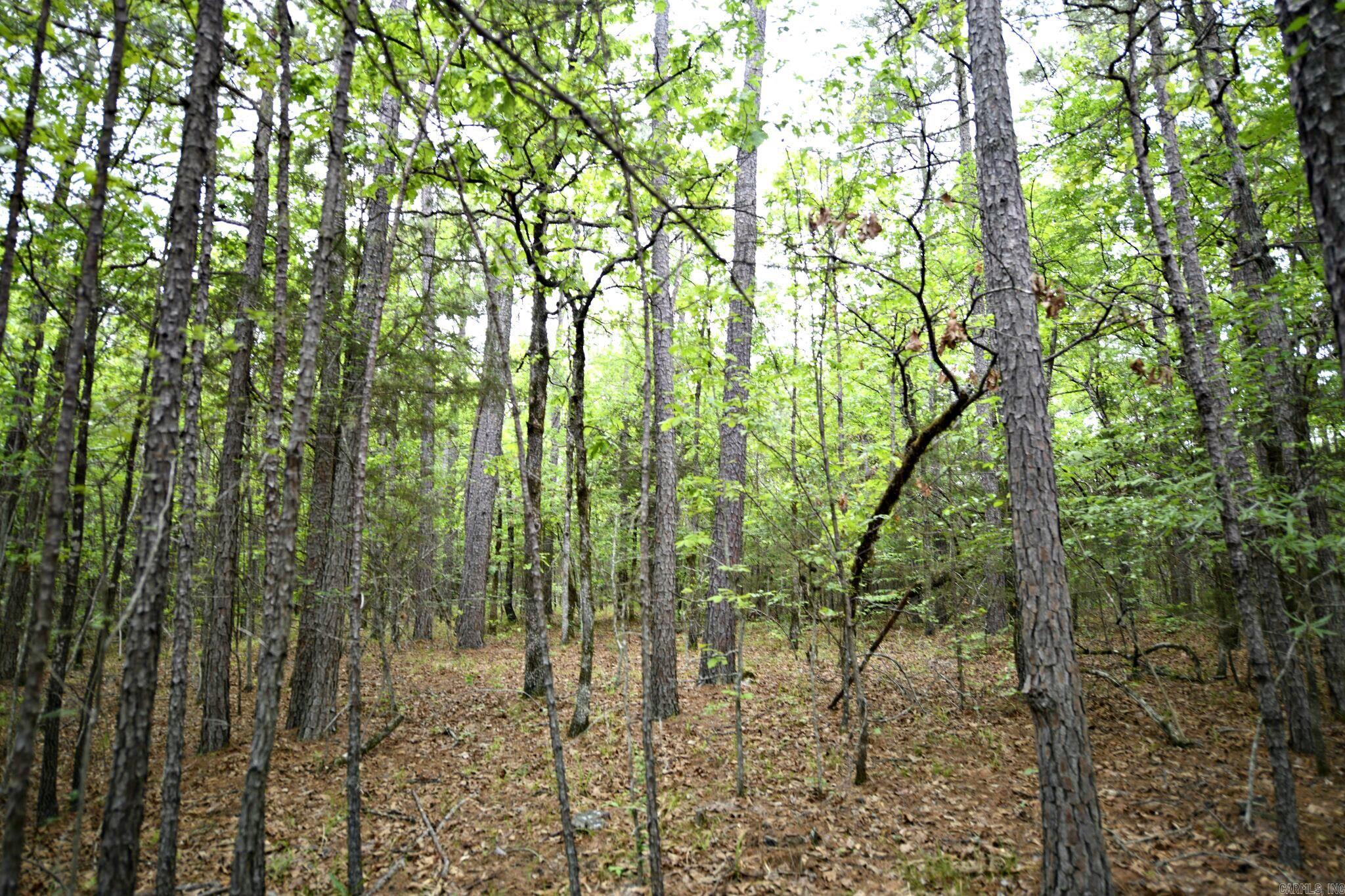 14369 Blackfork Drive  Heavener, OK