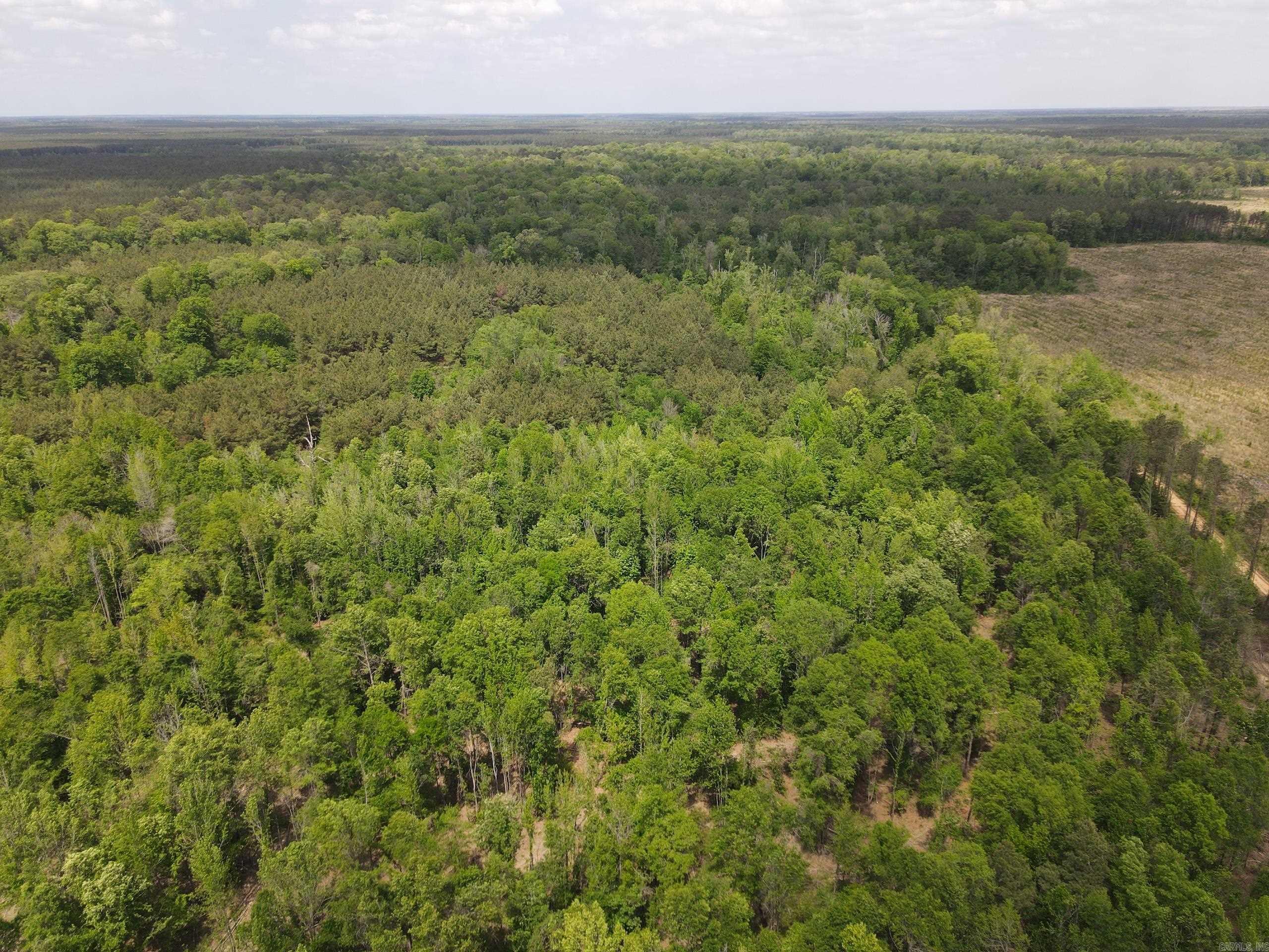 003 County Road 29  Hamburg, AR