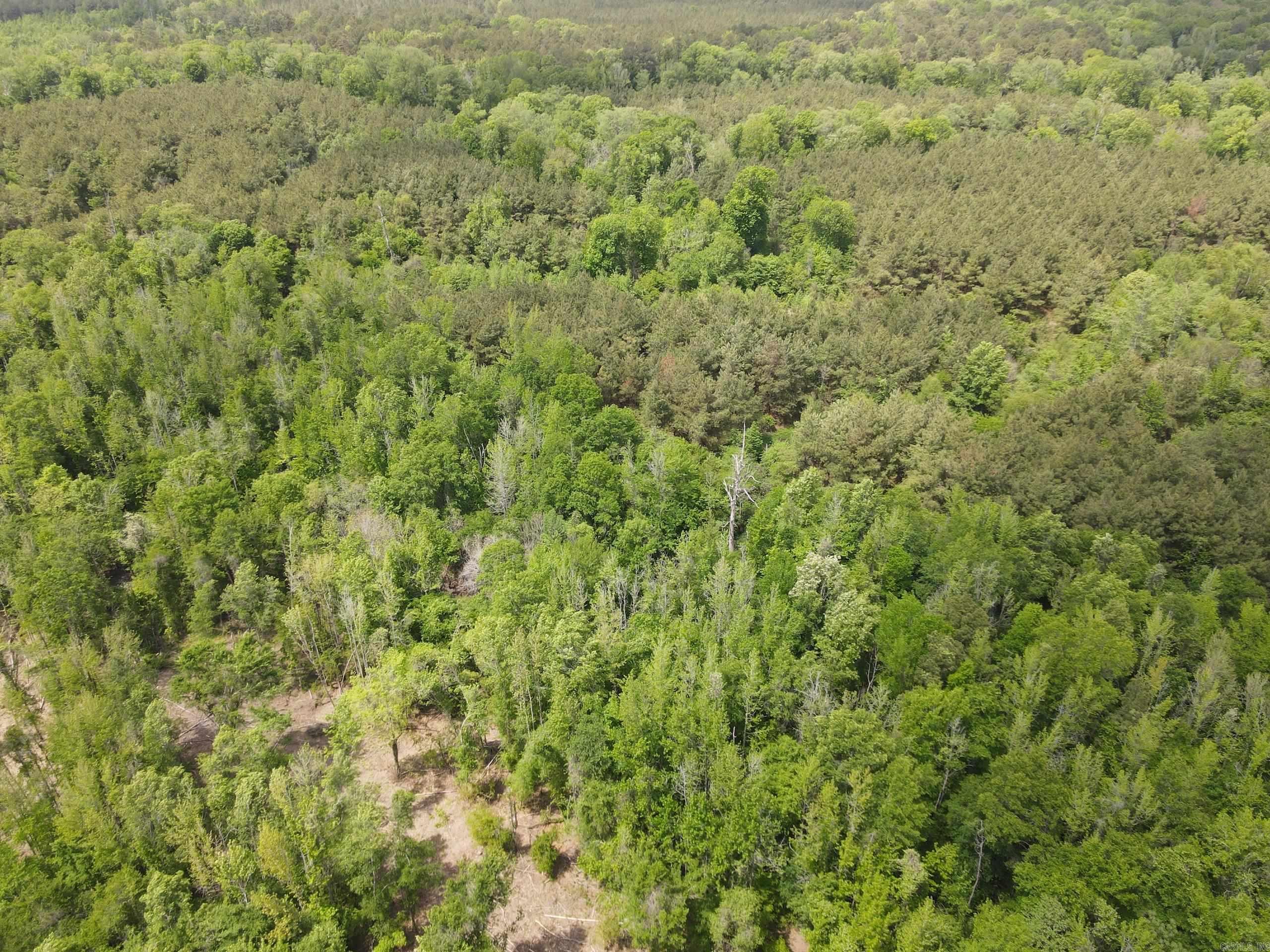 003 County Road 29  Hamburg, AR