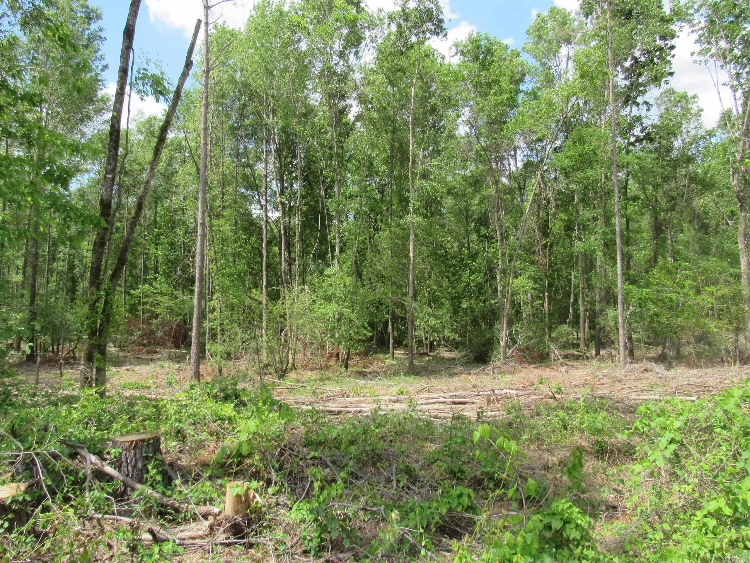 003 County Road 29  Hamburg, AR