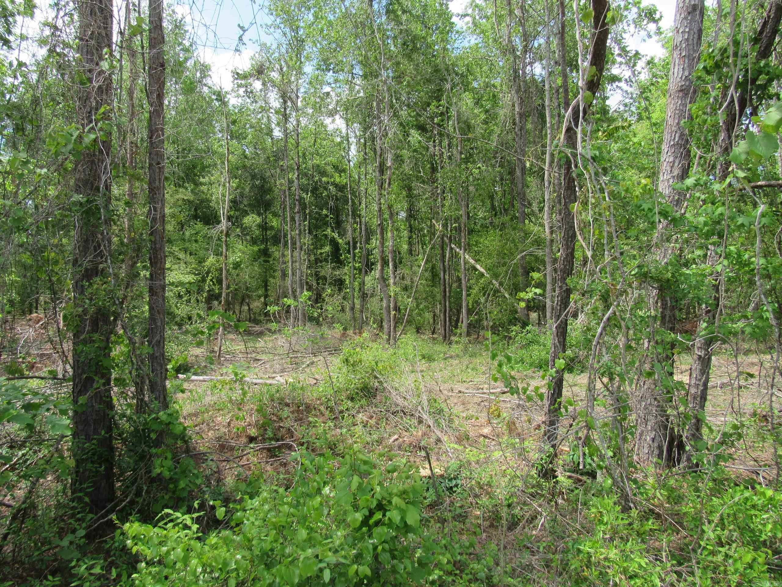 003 County Road 29  Hamburg, AR