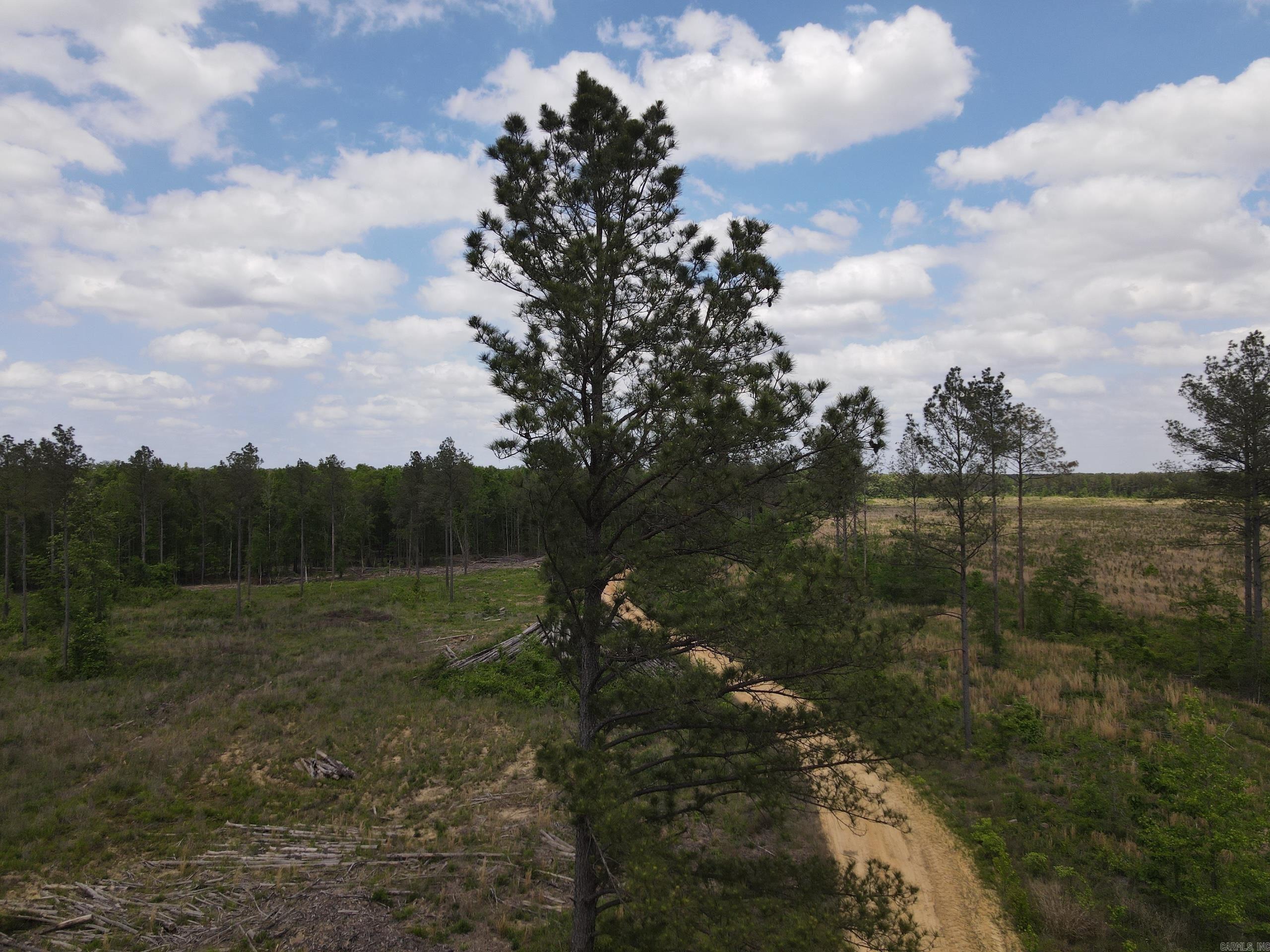 003 County Road 29  Hamburg, AR