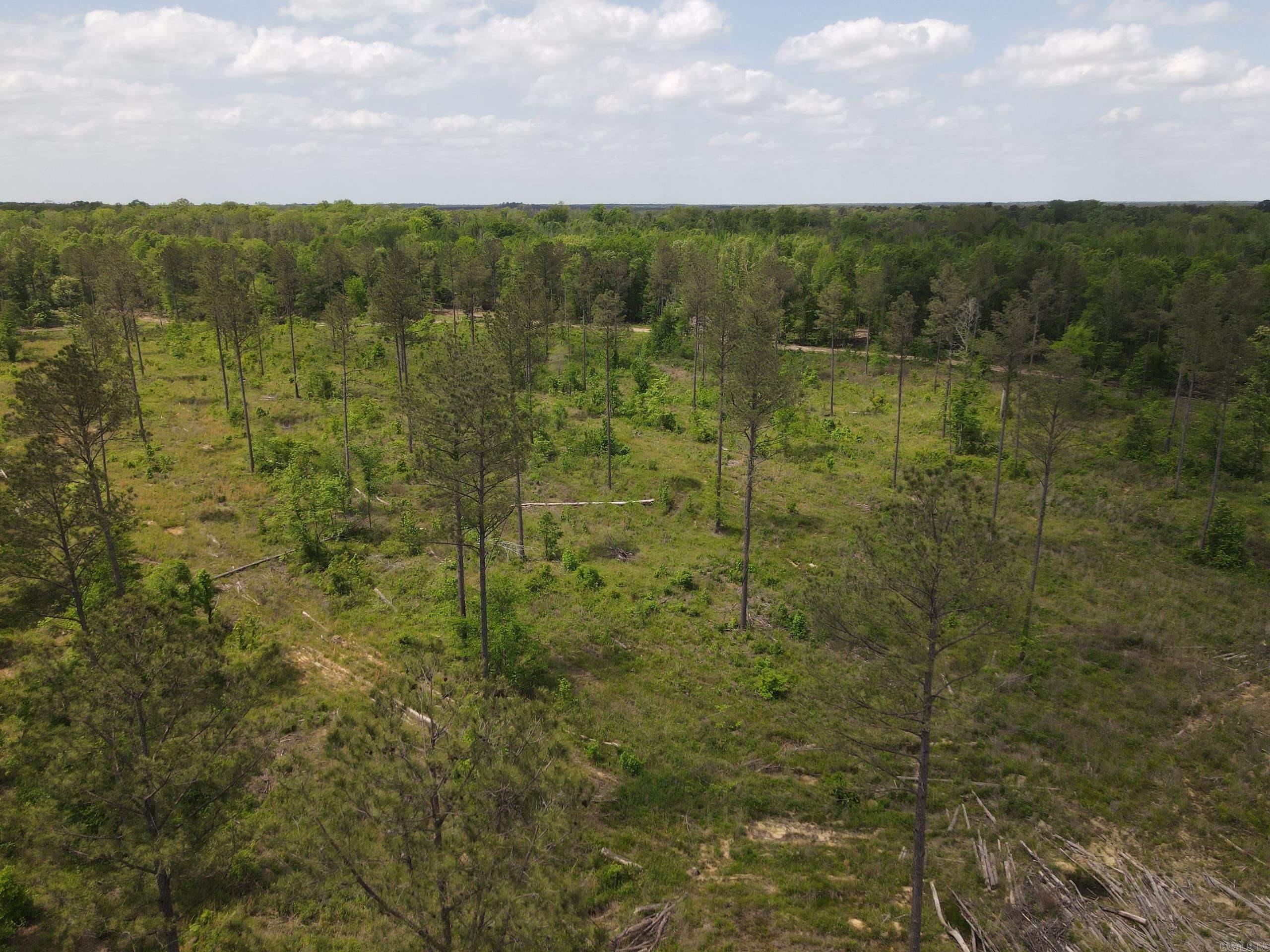 003 County Road 29  Hamburg, AR