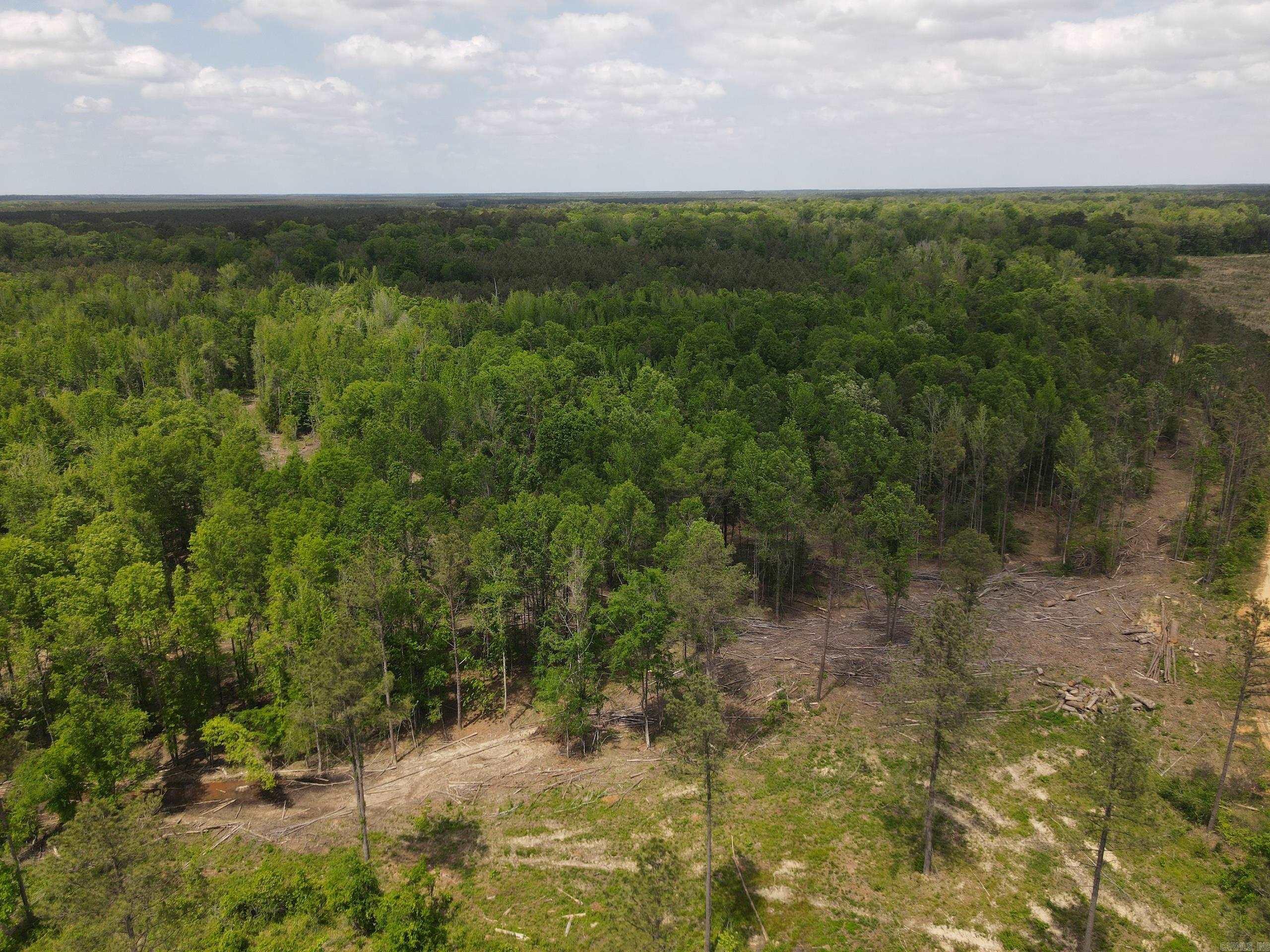 003 County Road 29  Hamburg, AR