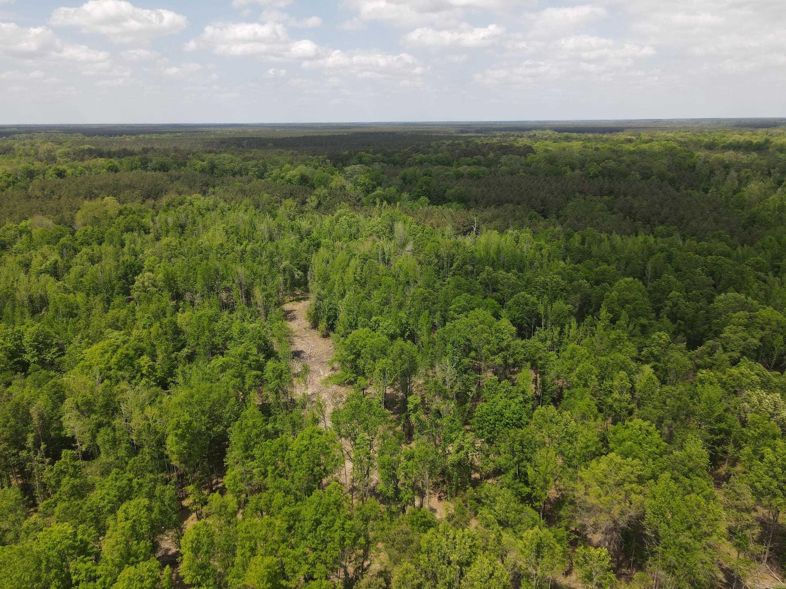 003 County Road 29  Hamburg, AR