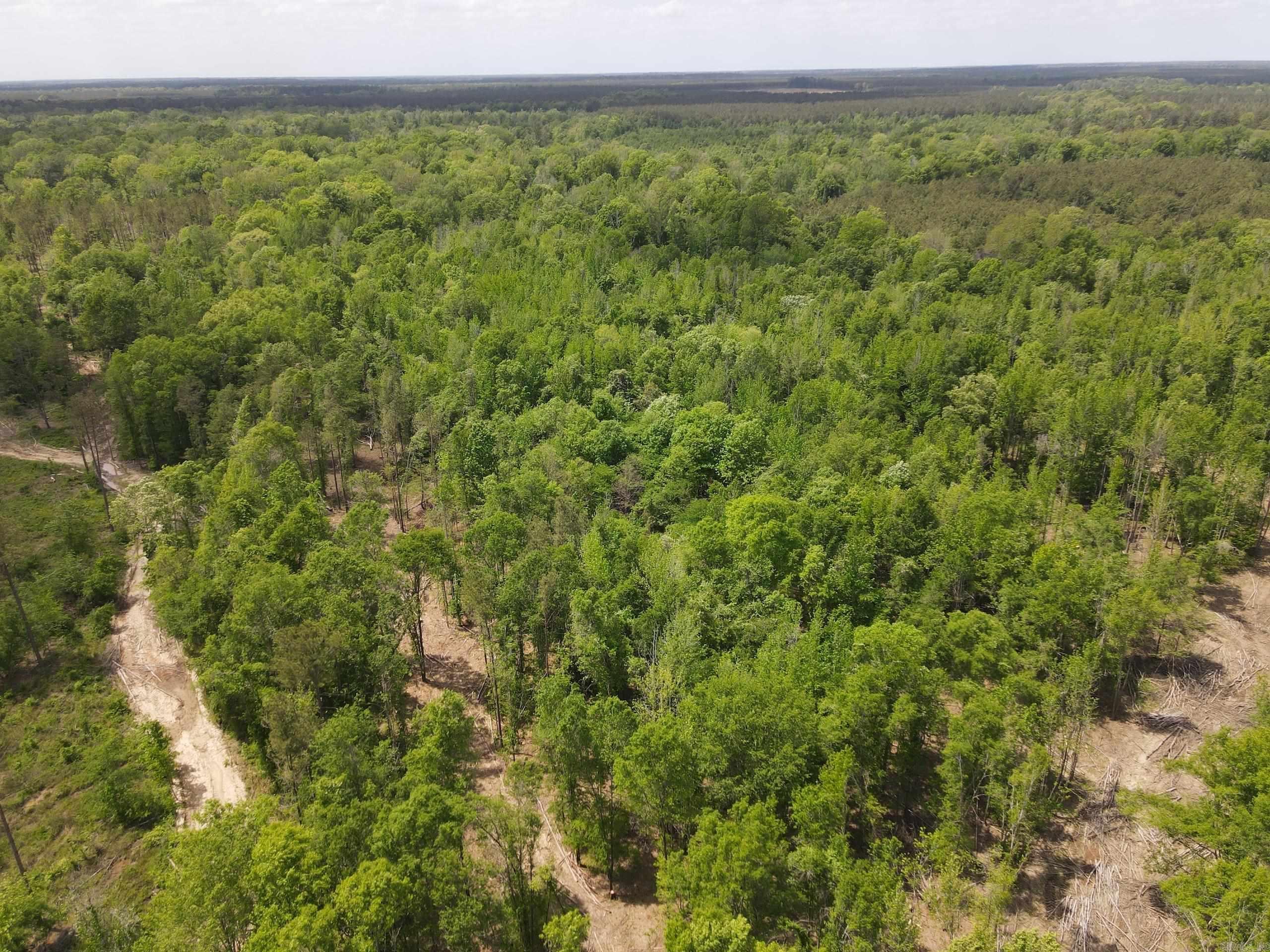 003 County Road 29  Hamburg, AR