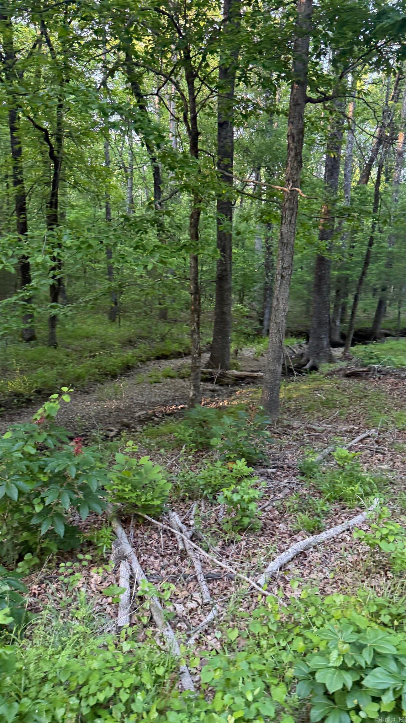 00 Robinson Road  Cabot, AR