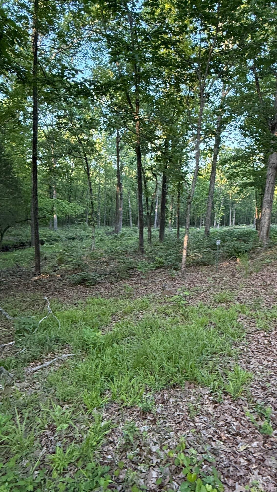 00 Robinson Road  Cabot, AR