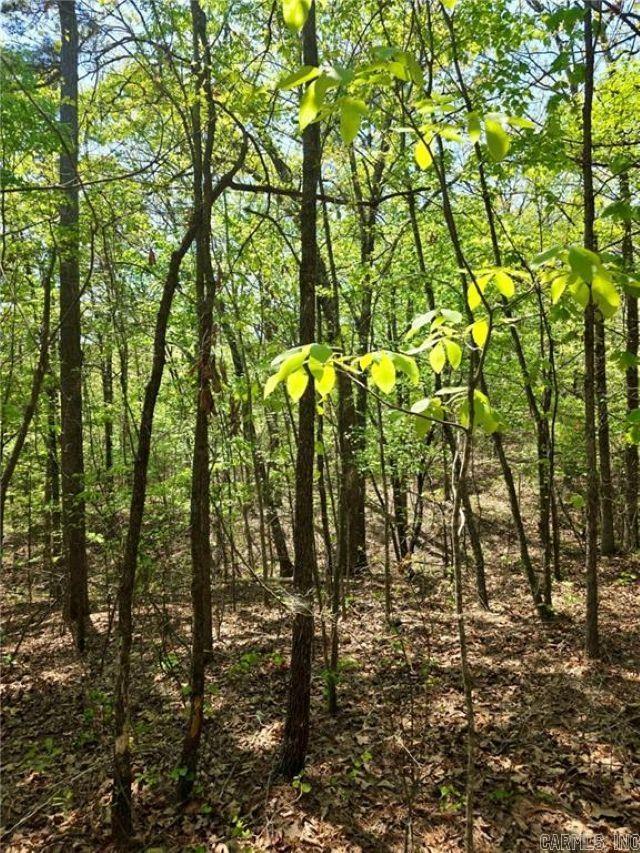  FSR 1471  Clarksville, AR