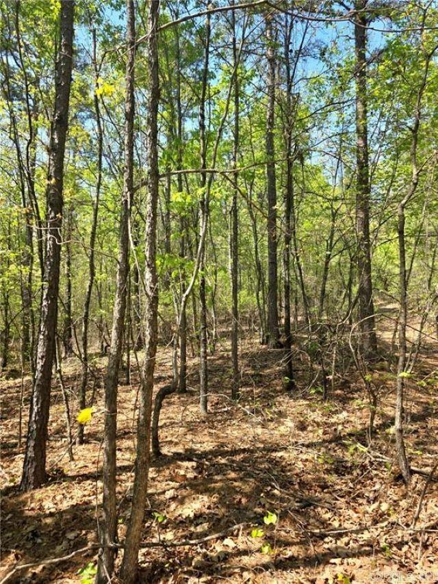  FSR 1471  Clarksville, AR