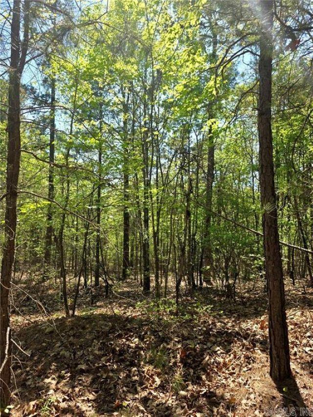  FSR 1471  Clarksville, AR