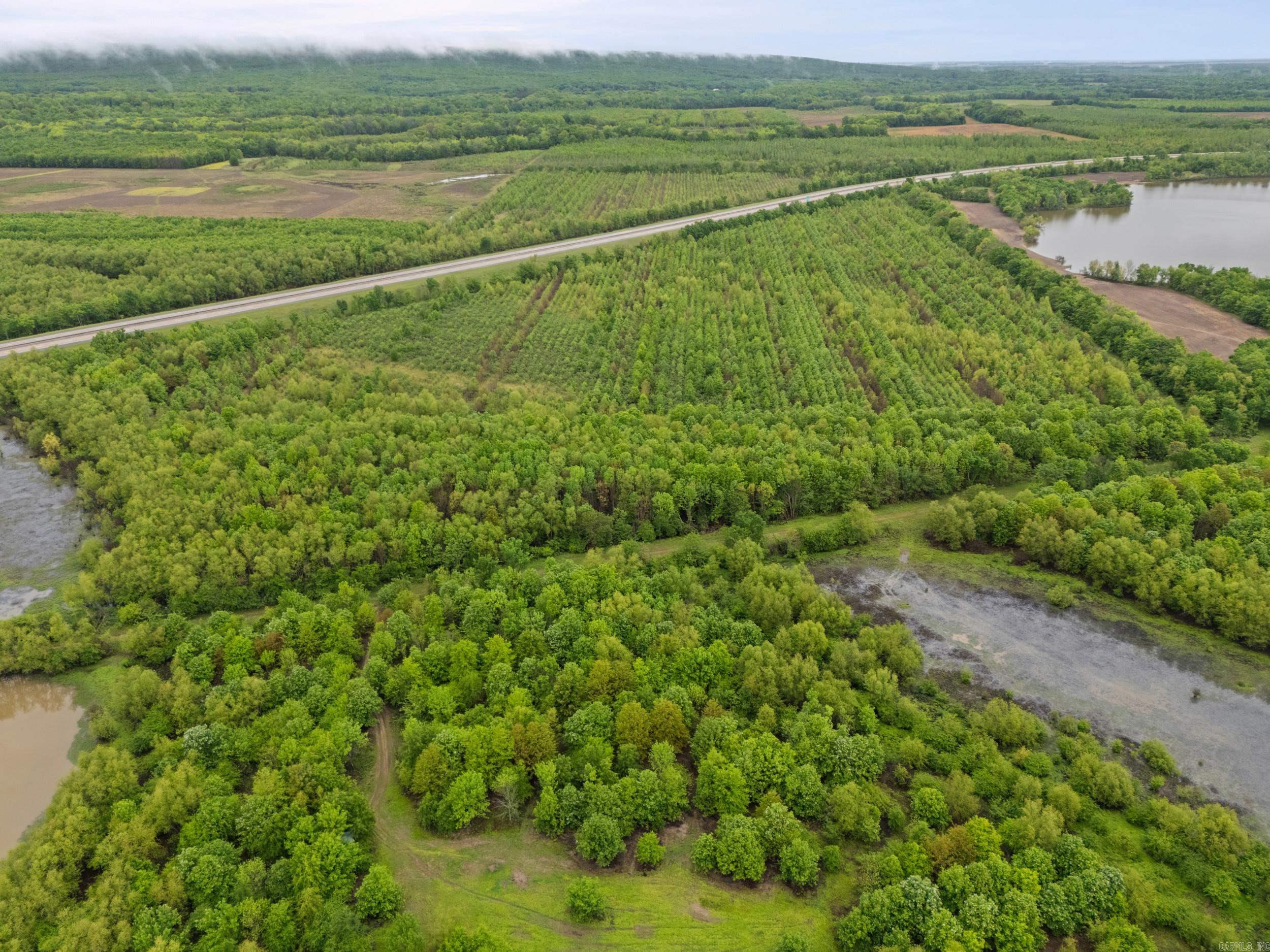 00 I-57  Possum Grape, AR