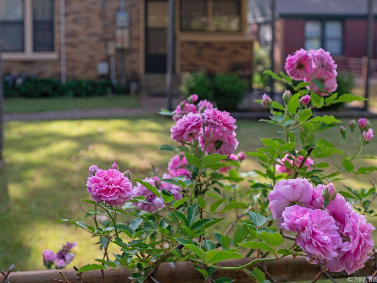 1305 Fair Park Blvd  Little Rock, AR