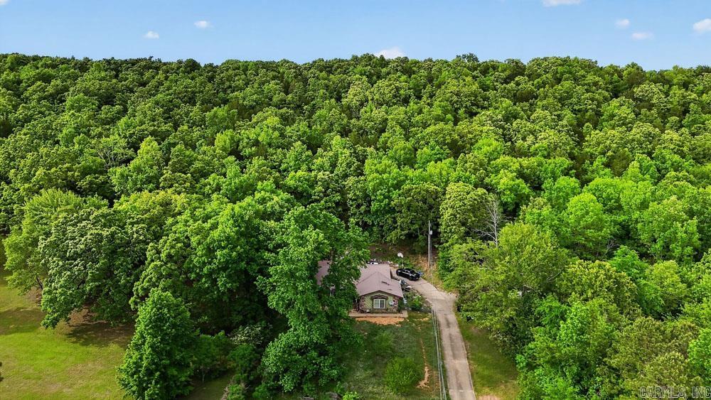 28 Jones  Vilonia, AR