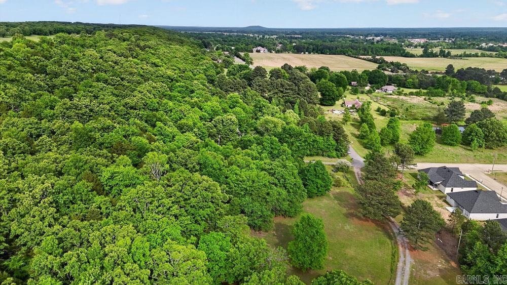 28 Jones  Vilonia, AR