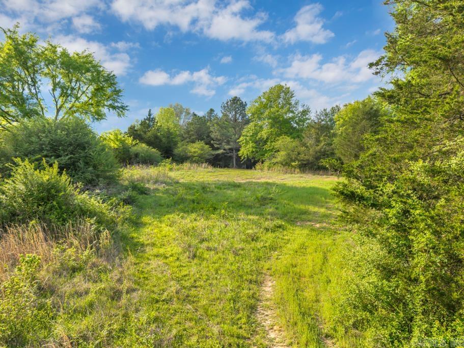 26 Tucker Mtn.  Solgohachia, AR