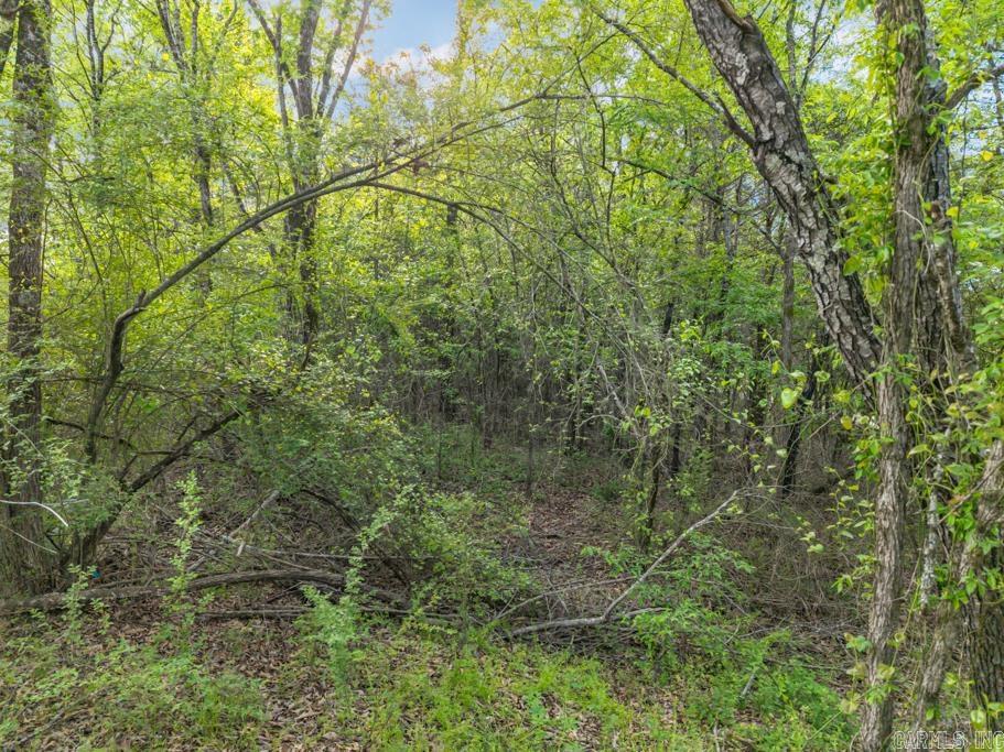 26 Tucker Mtn.  Solgohachia, AR