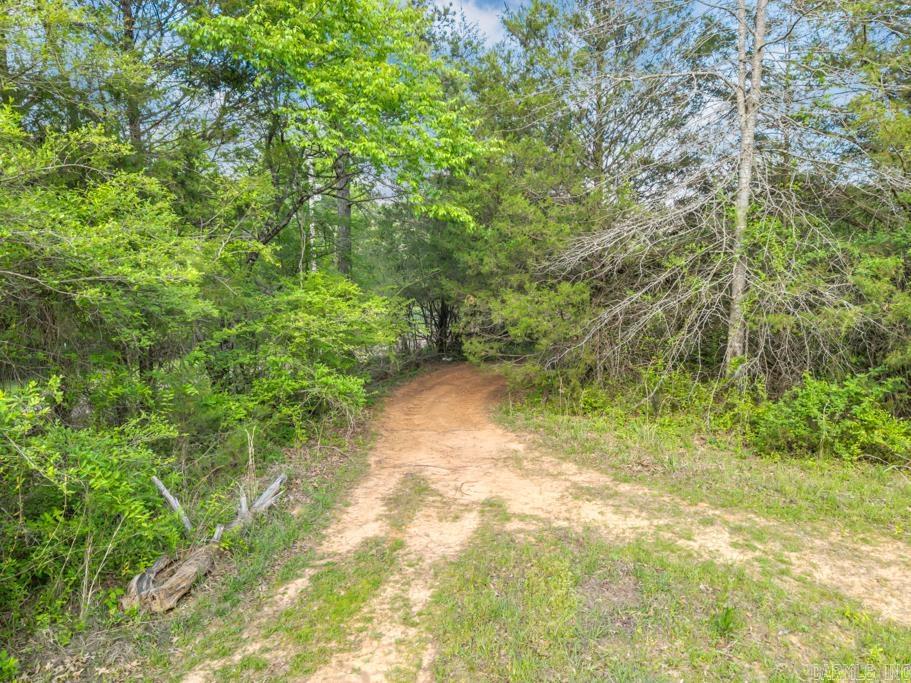 26 Tucker Mtn.  Solgohachia, AR