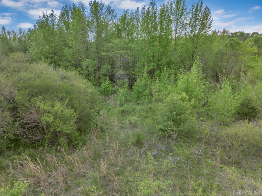 26 Tucker Mtn.  Solgohachia, AR