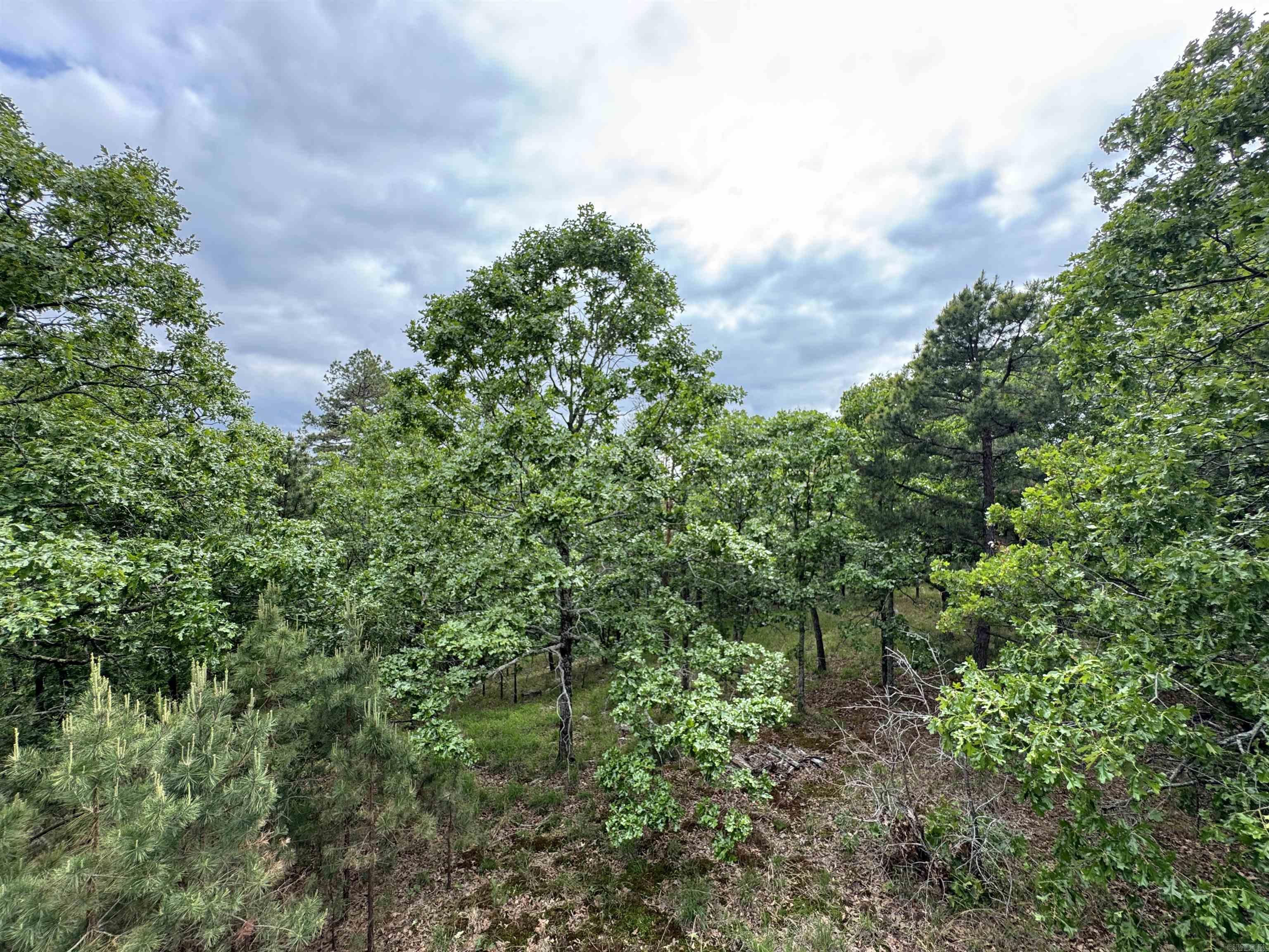 18700 Dwight Little  Roland, AR