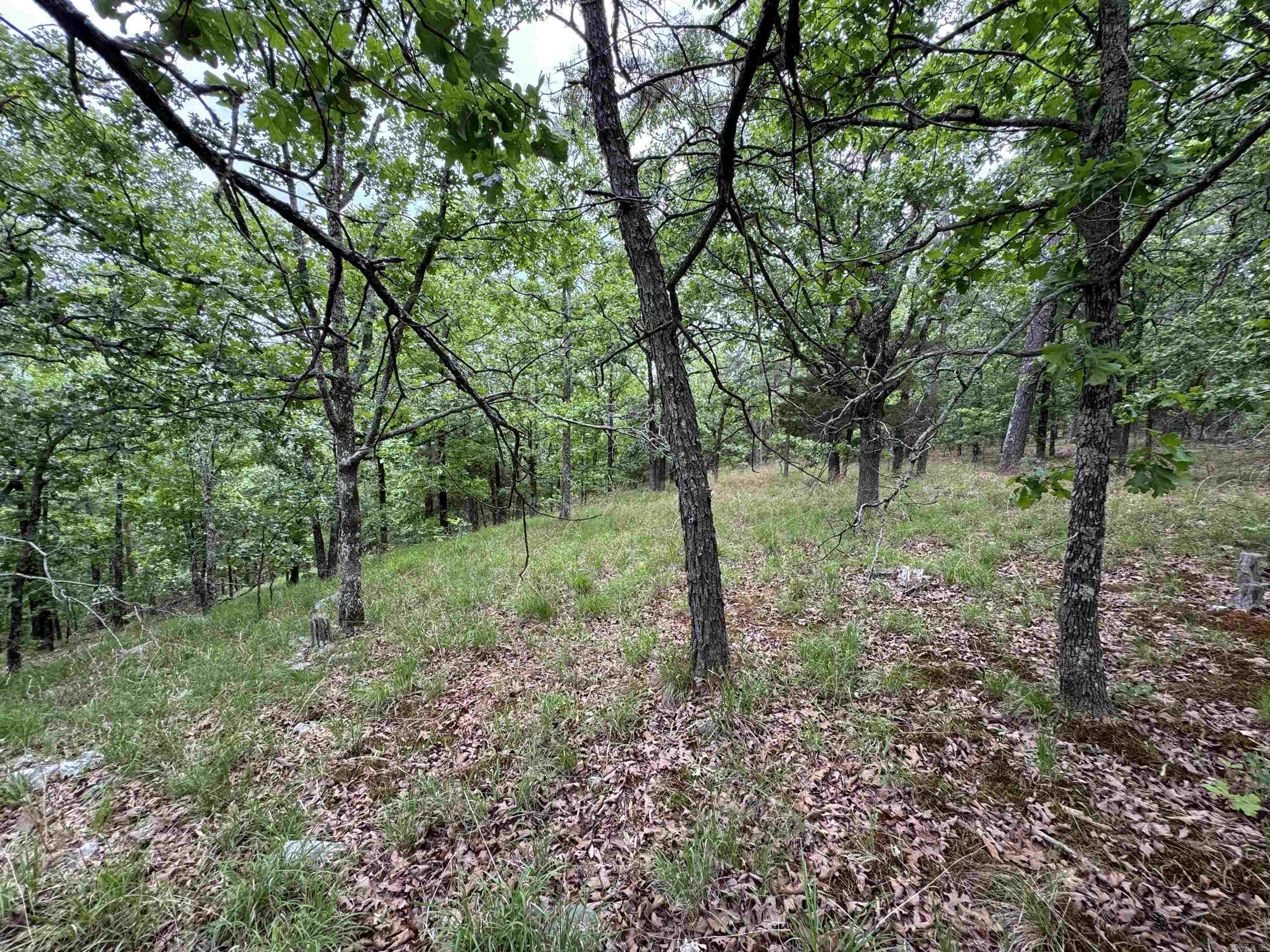 18700 Dwight Little  Roland, AR