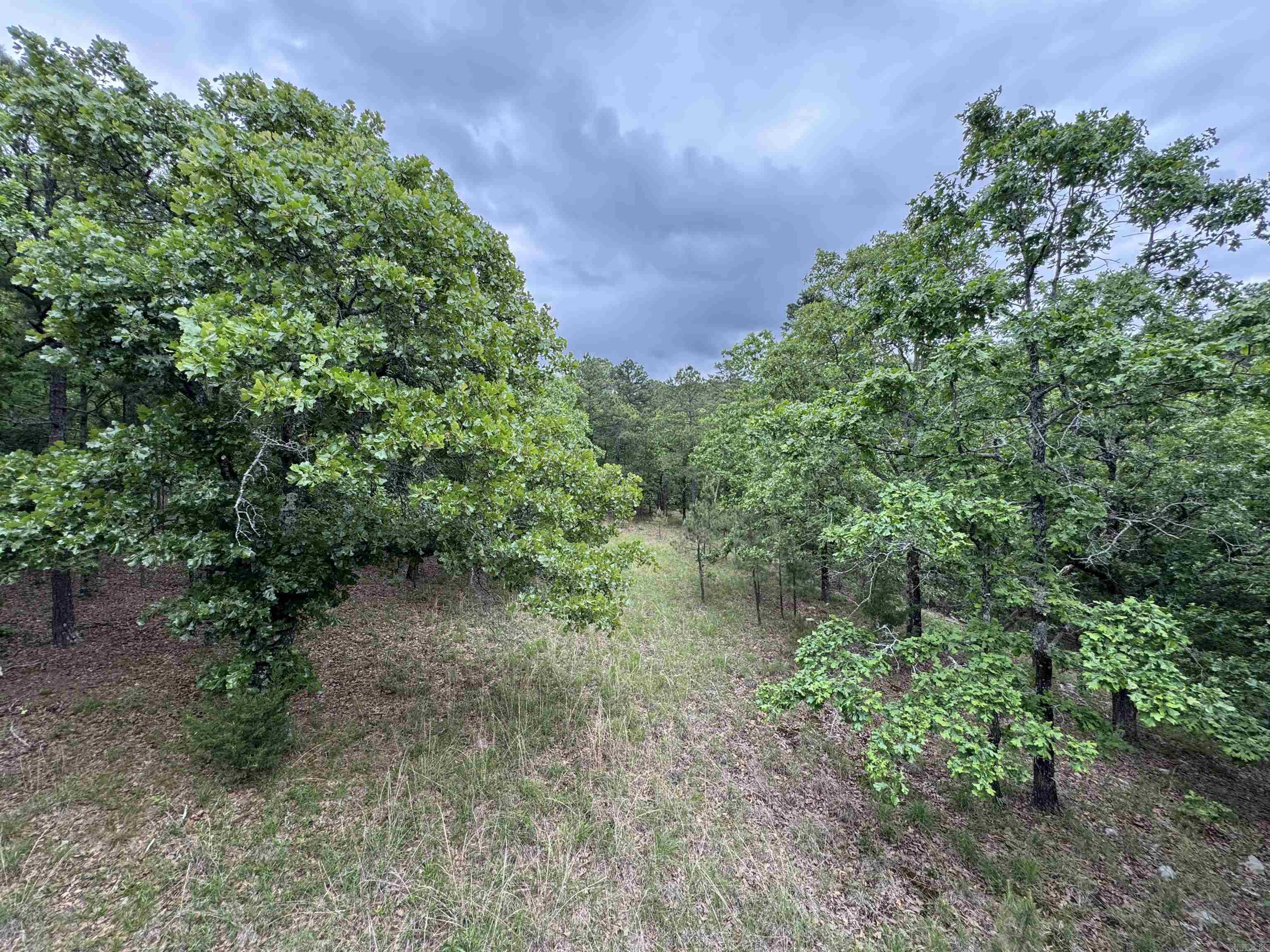 18700 Dwight Little  Roland, AR