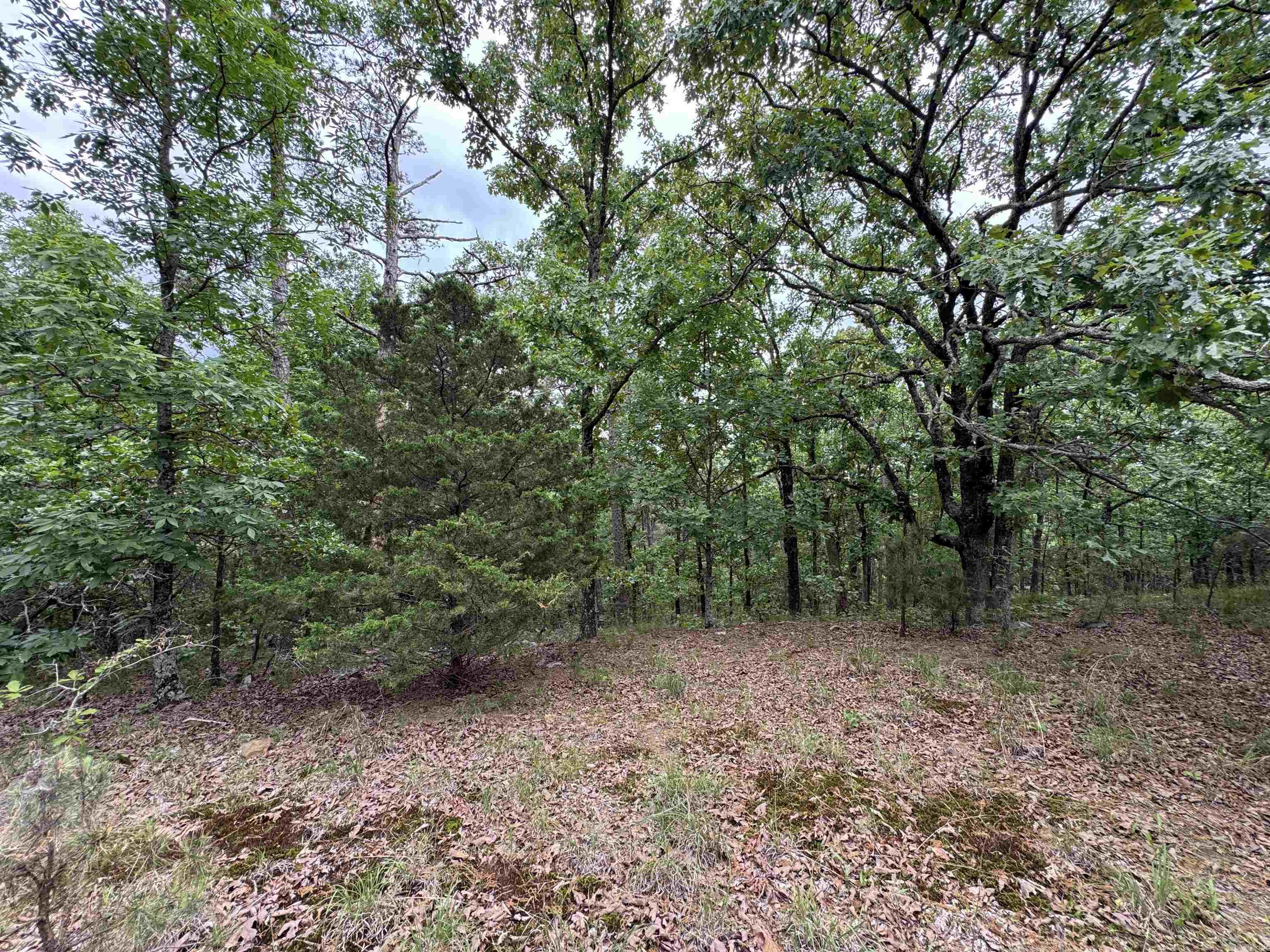 18700 Dwight Little  Roland, AR