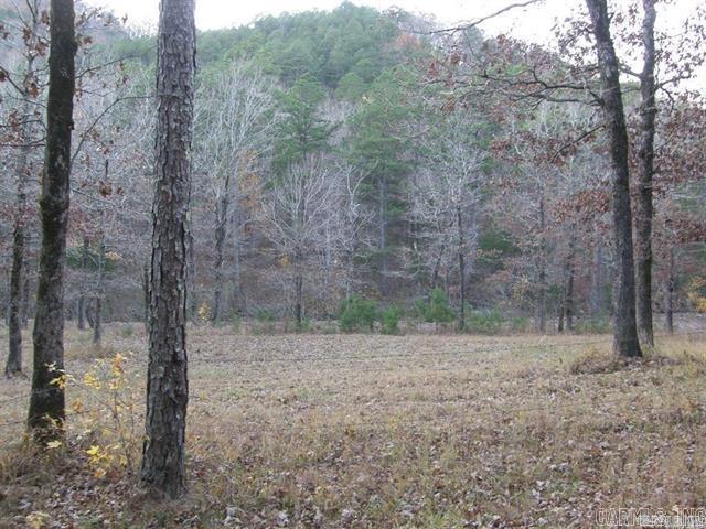 P.O. Box 725 P.O. Box  Mena, AR