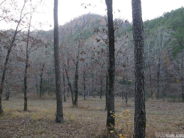 P.O. Box 725 P.O. Box  Mena, AR