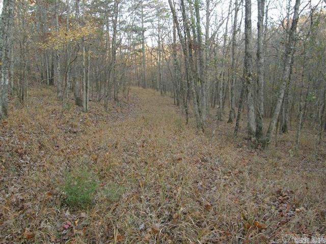 P.O. Box 725 P.O. Box  Mena, AR